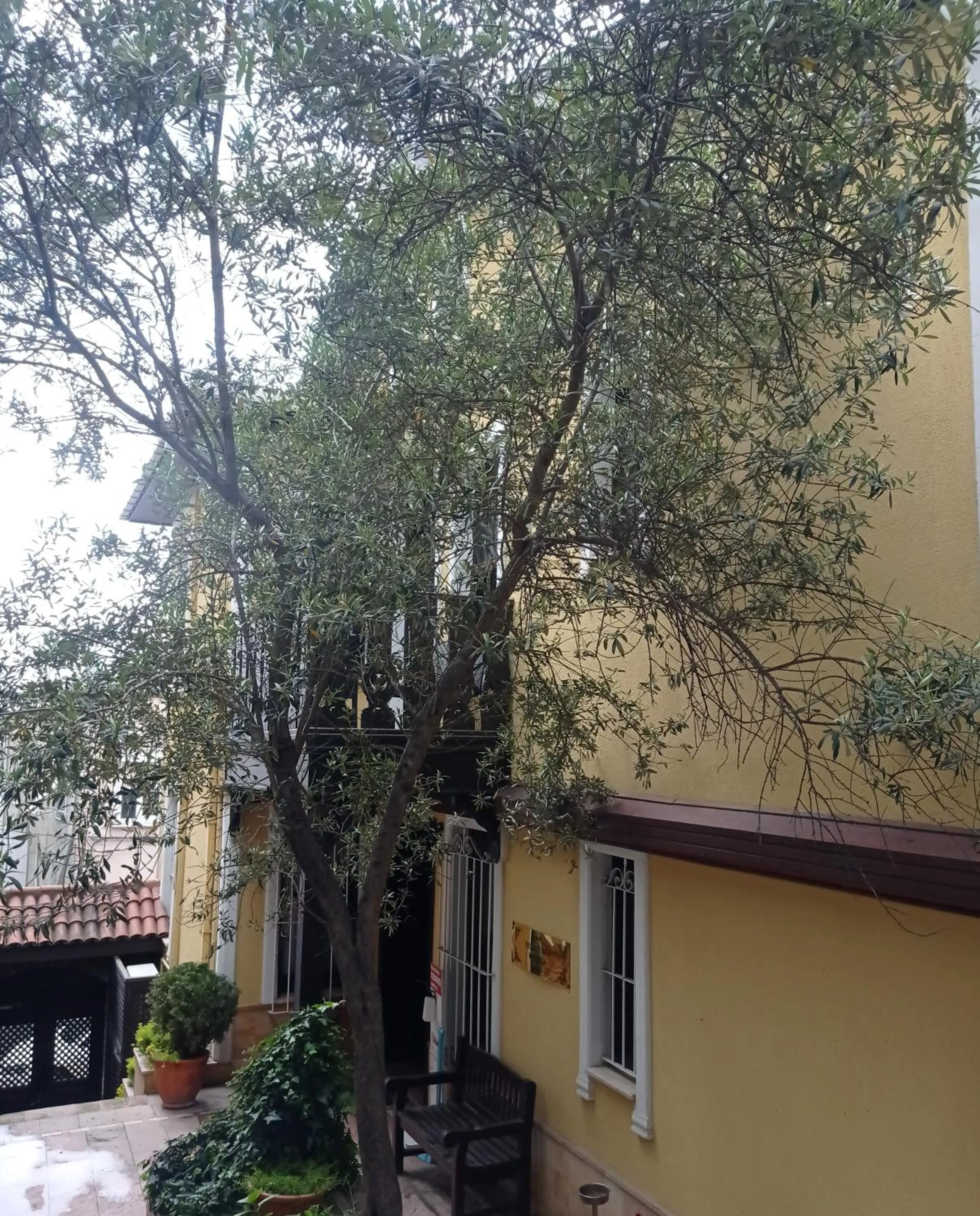 Property building in İstanbul Bosphorus Hotel Symbola