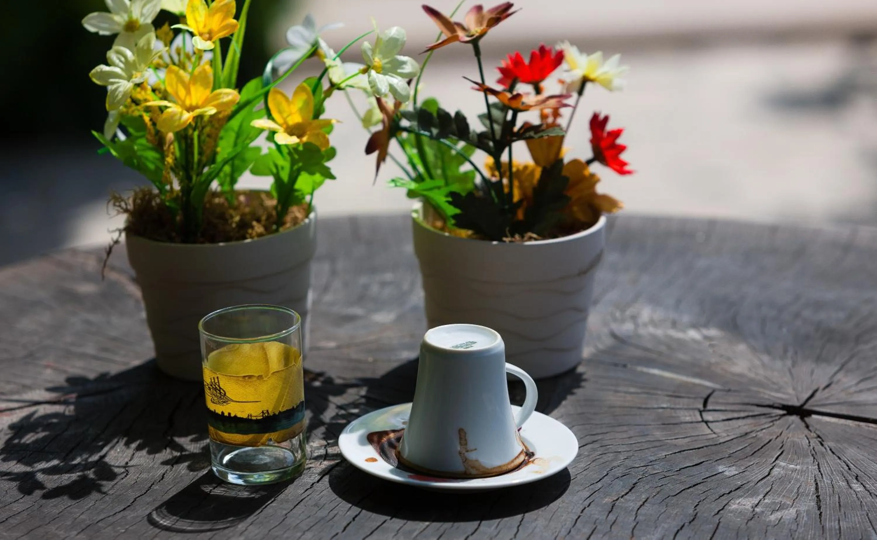 Garden in İstanbul Bosphorus Hotel Symbola