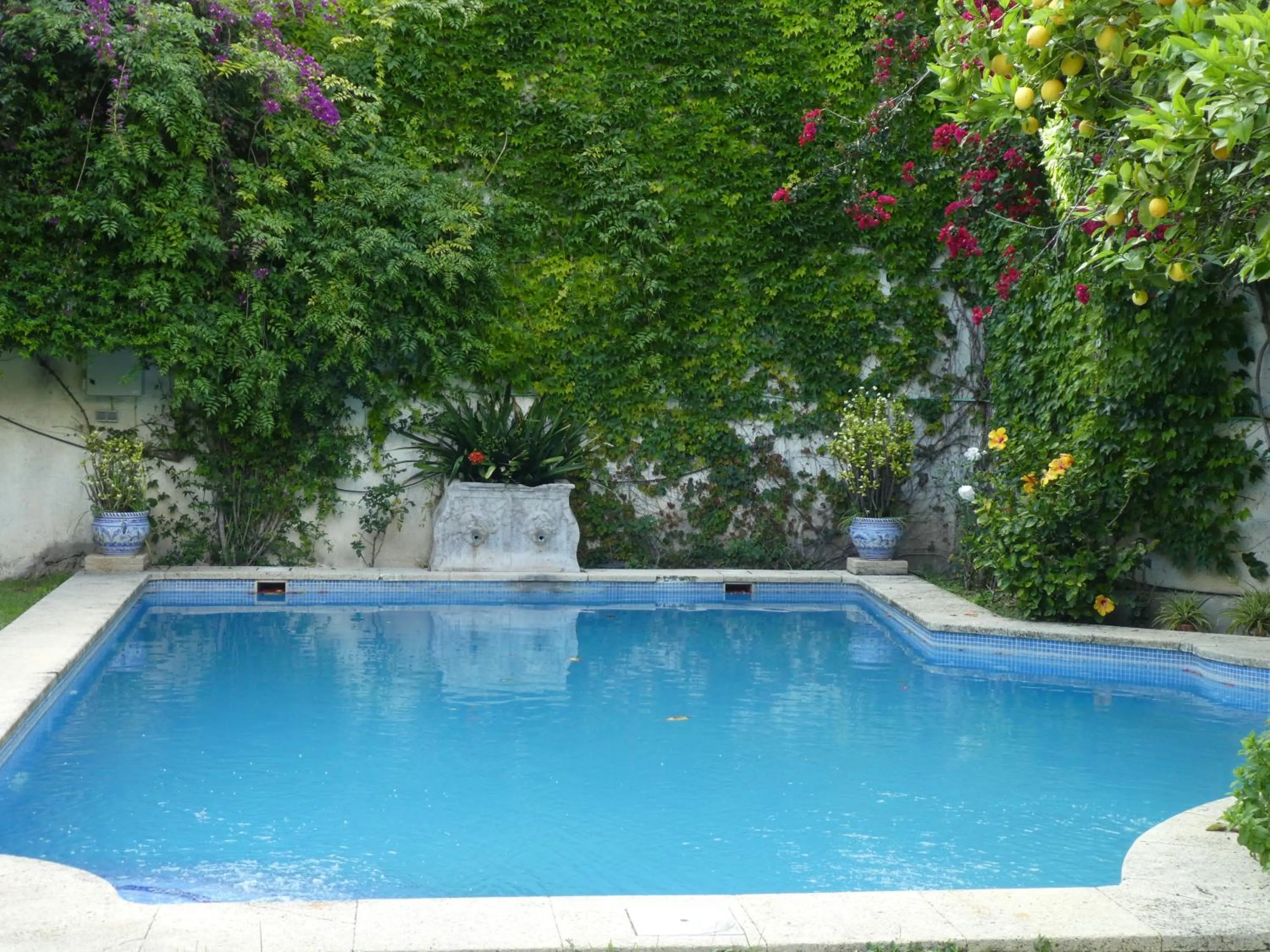 Swimming pool in Palacio del Virrey Laserna