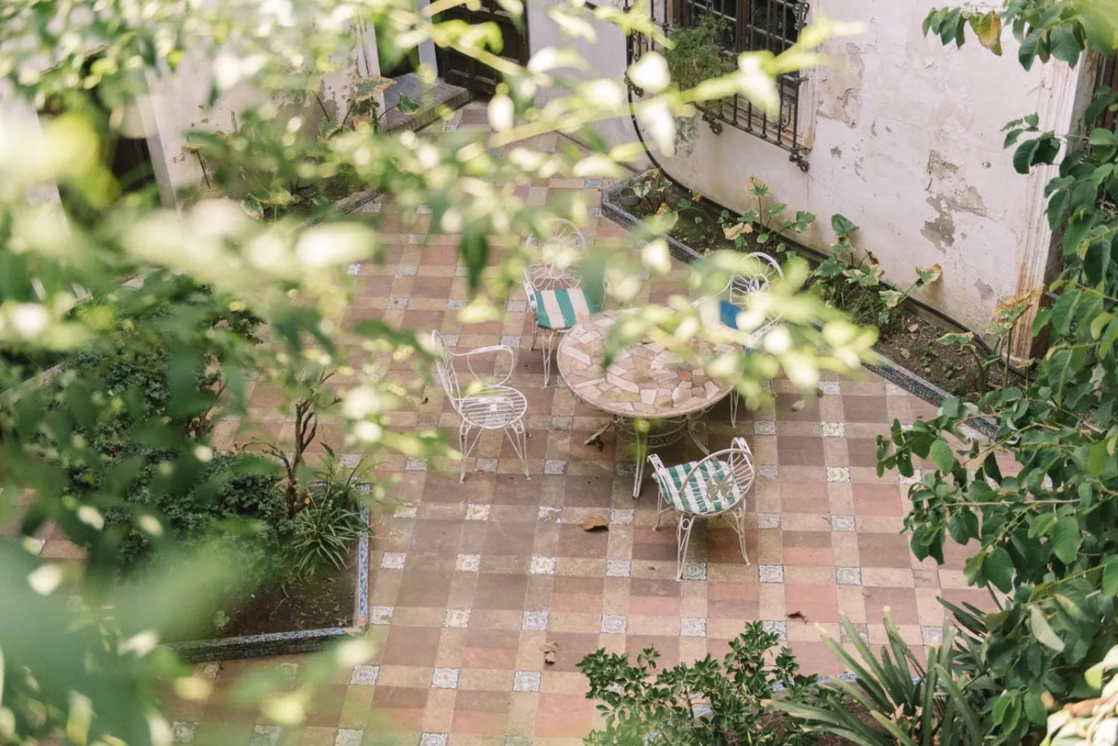 Garden view in Palacio del Virrey Laserna