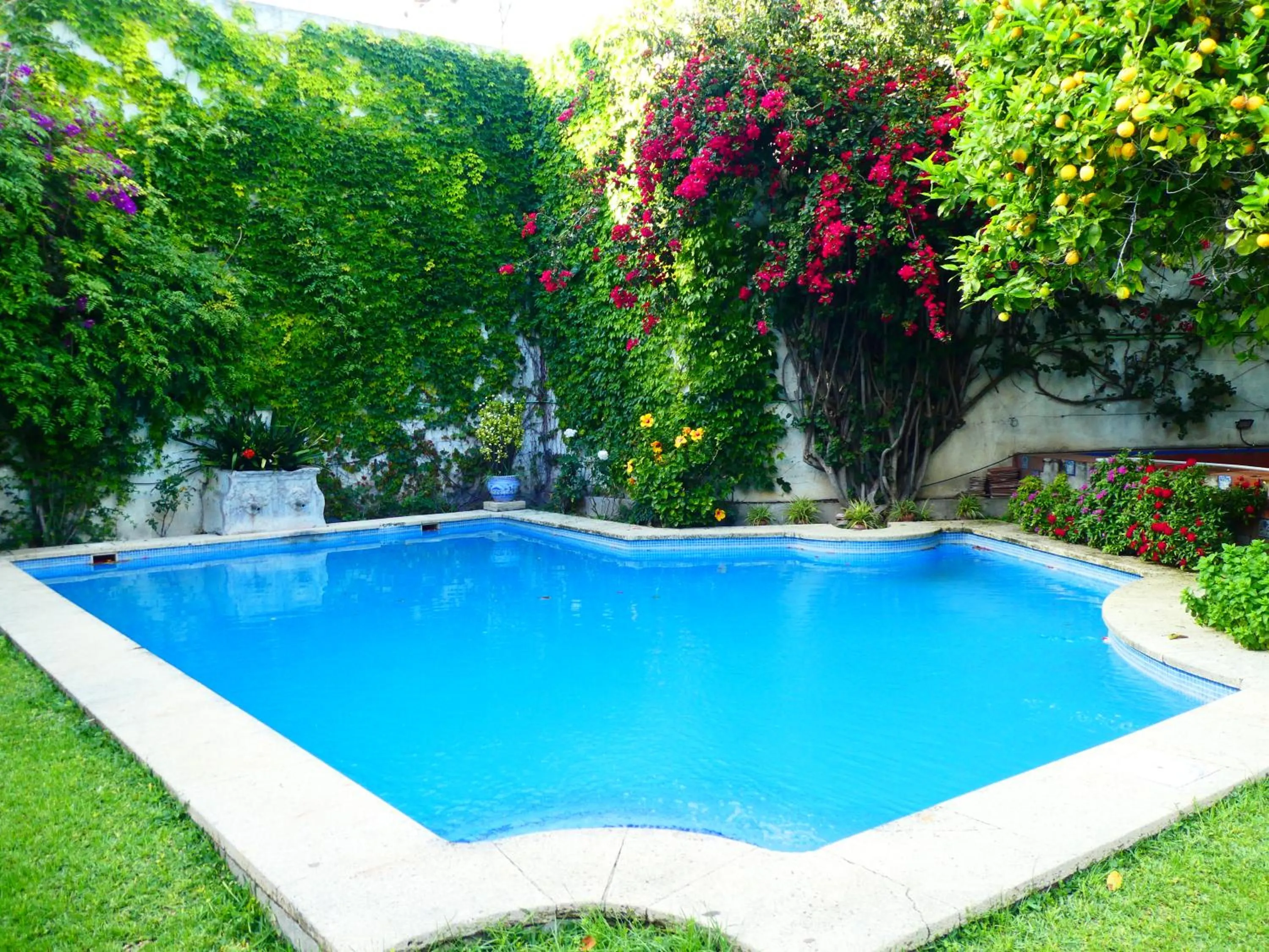 Swimming pool in Palacio del Virrey Laserna