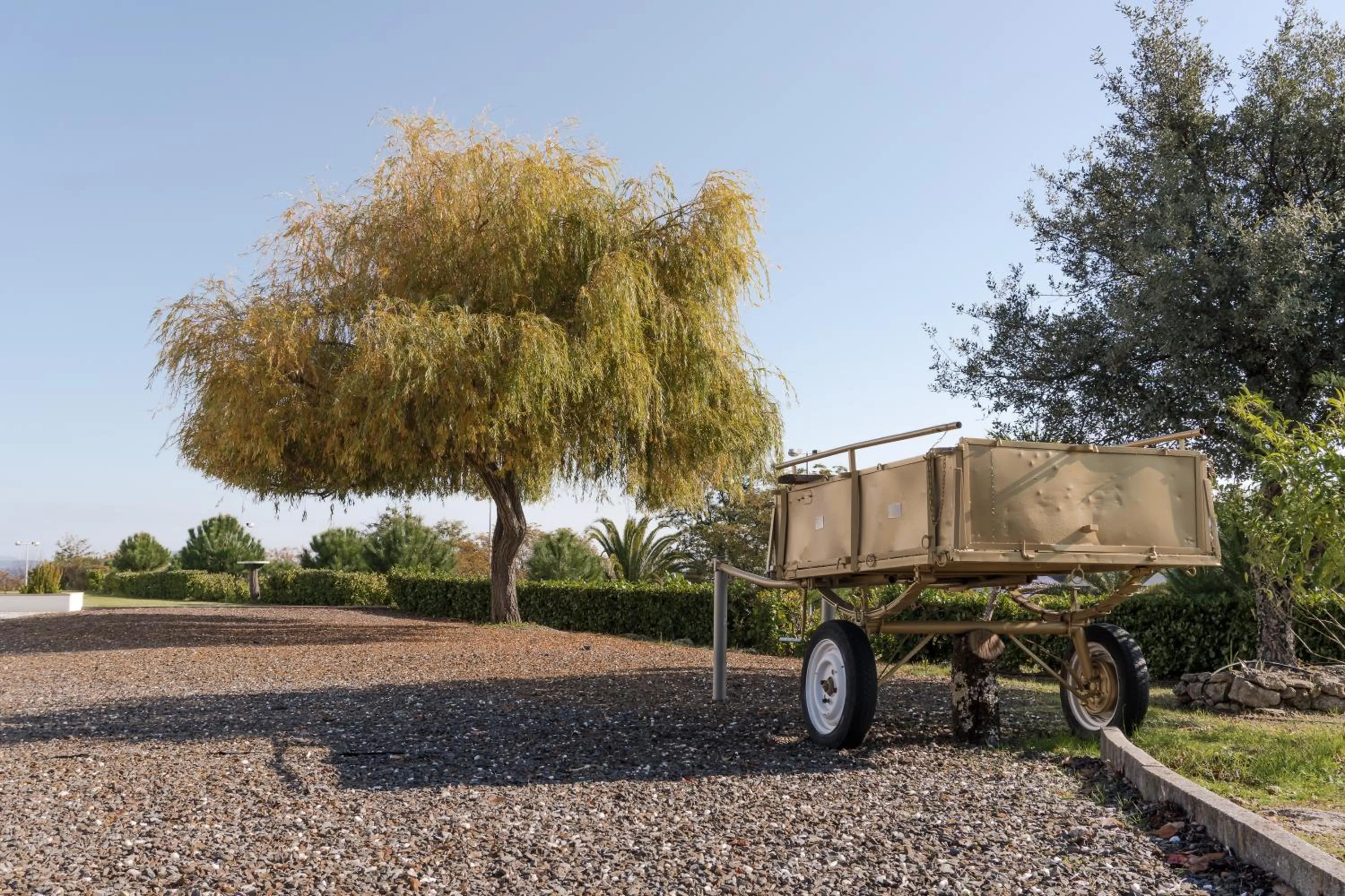 Garden in Hotel Estrela Da Idanha