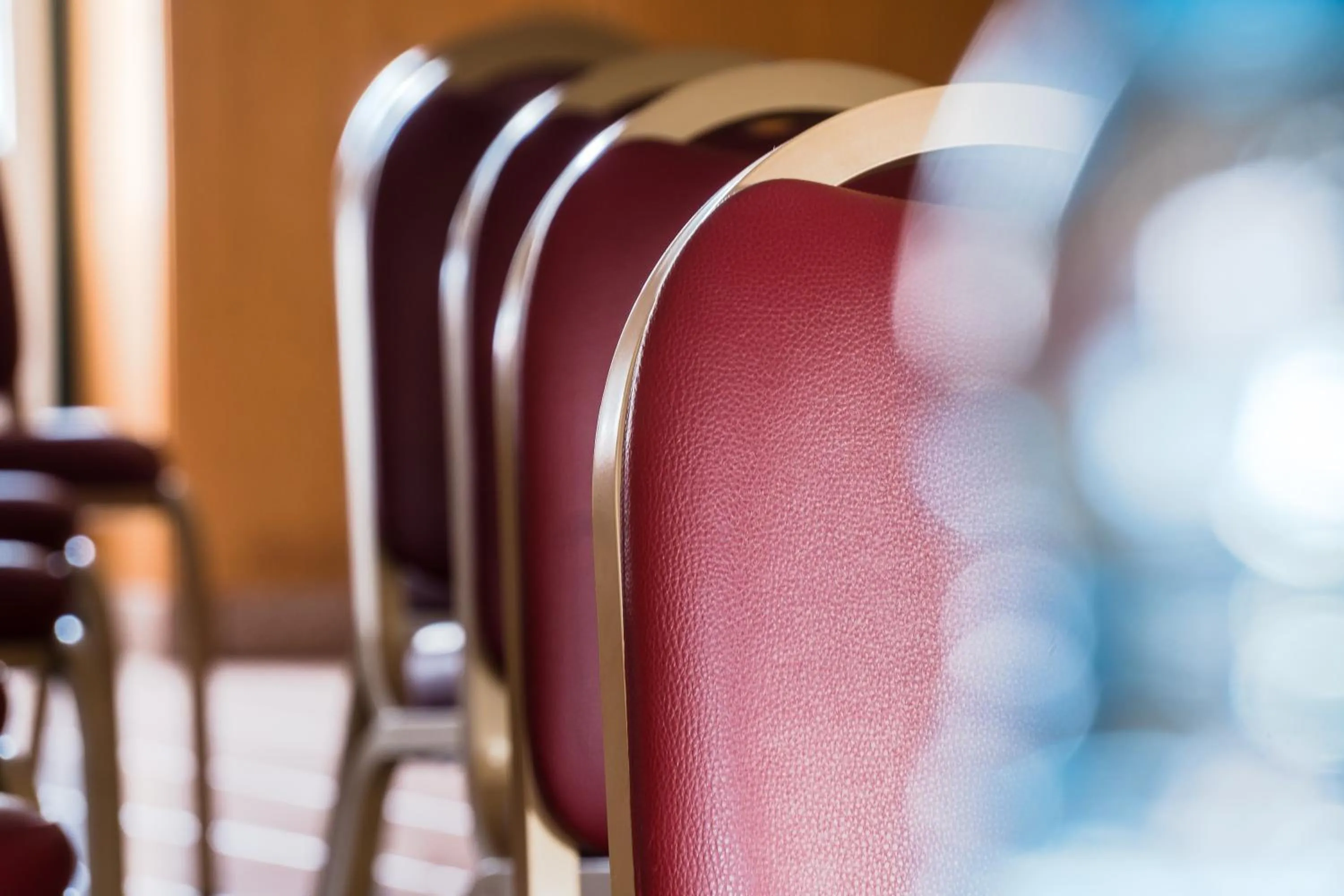 Decorative detail in Hotel Estrela Da Idanha