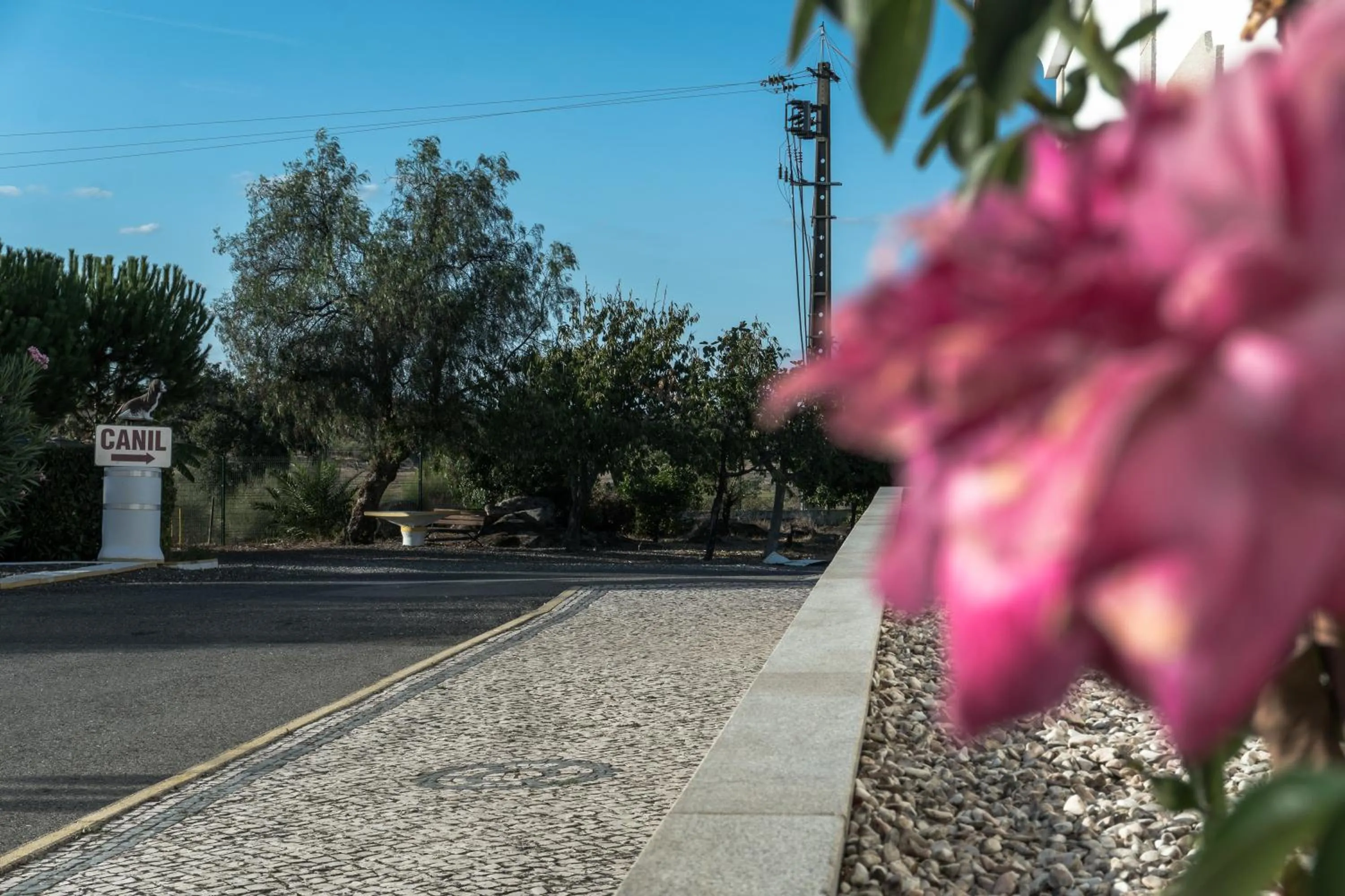 Garden in Hotel Estrela Da Idanha