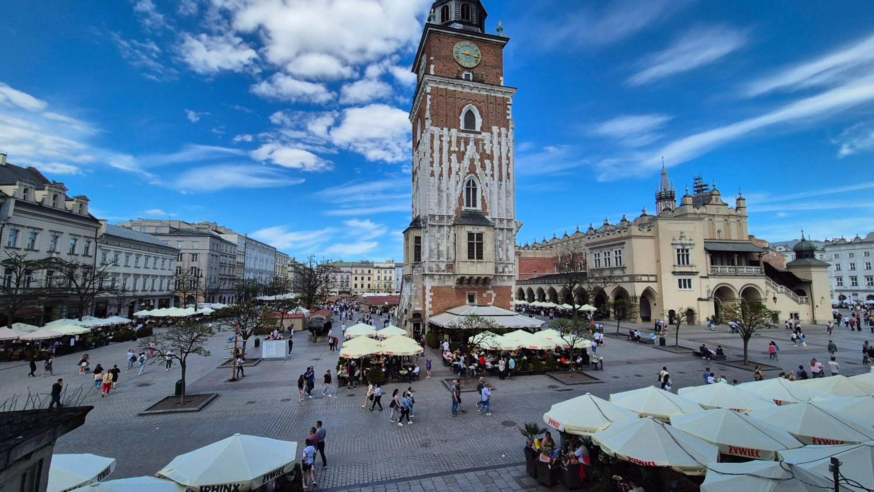 View (from property/room) in Main Square Apartments