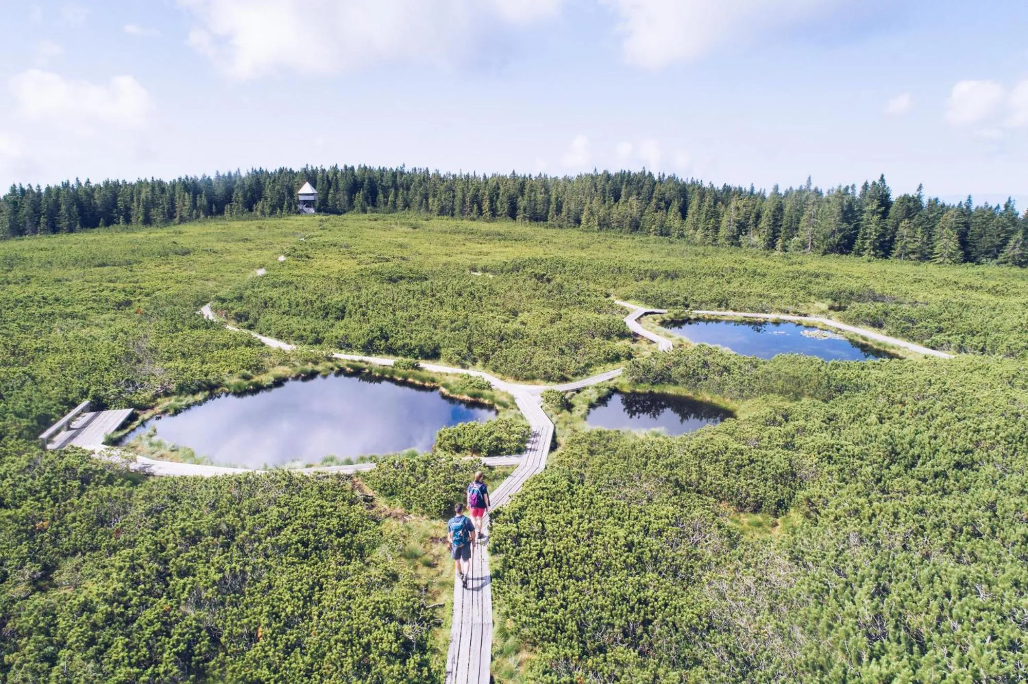 Hiking in Pohorje Village Wellbeing Resort - Wellness & Spa Hotel Bolfenk