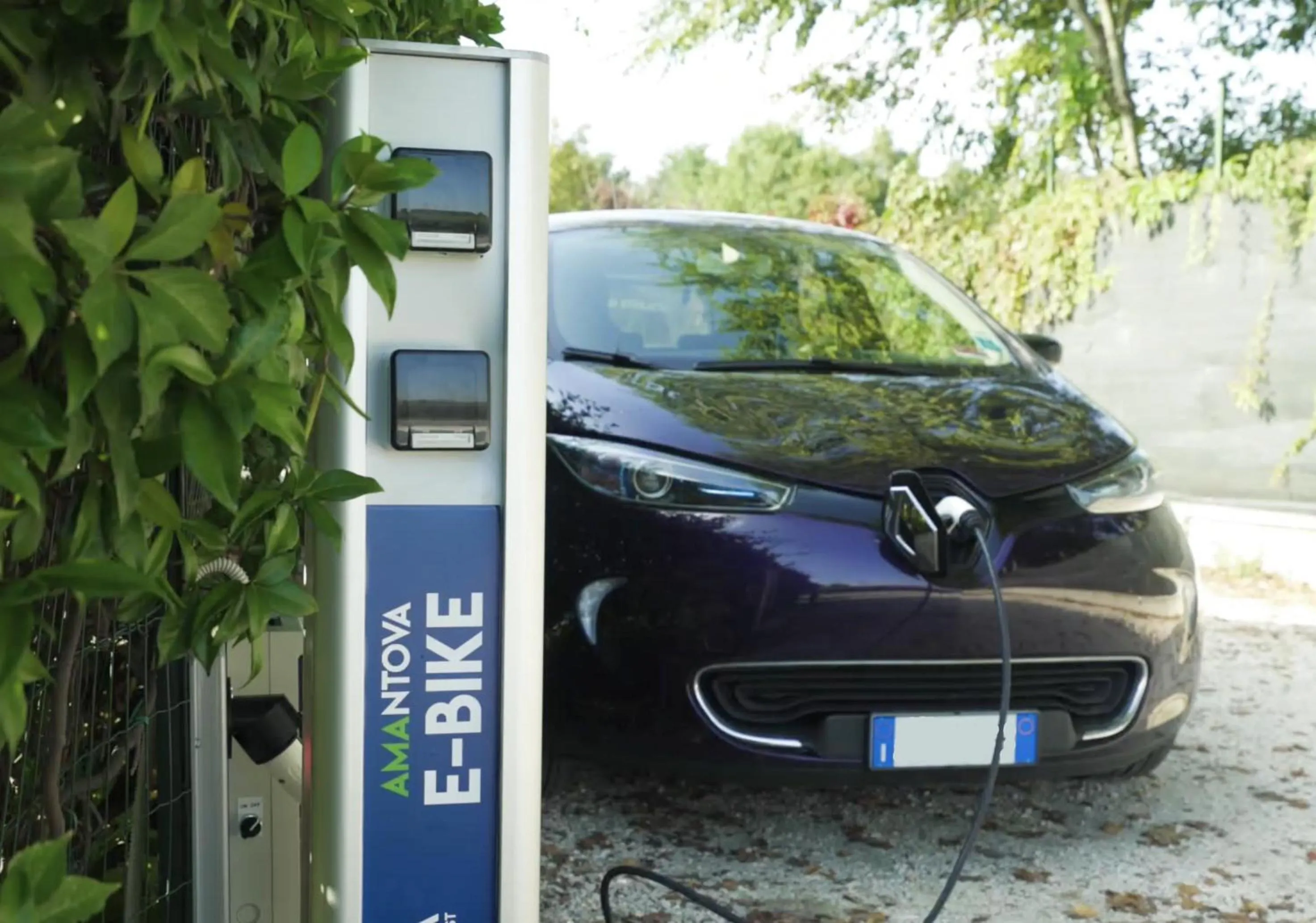 Logo/Certificate/Sign in La Celeste Galeria