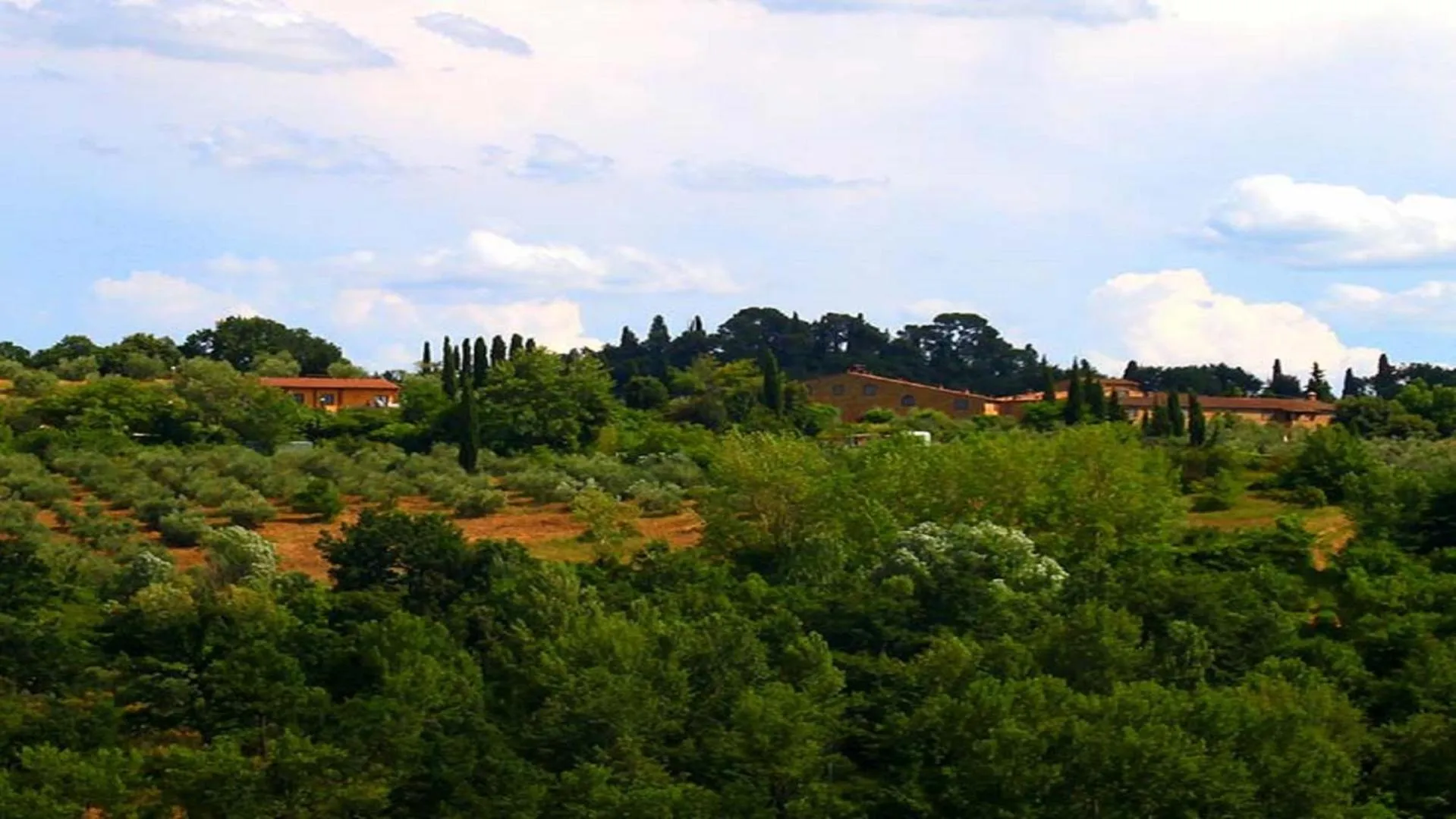 View (from property/room) in Borgo Di Collelungo