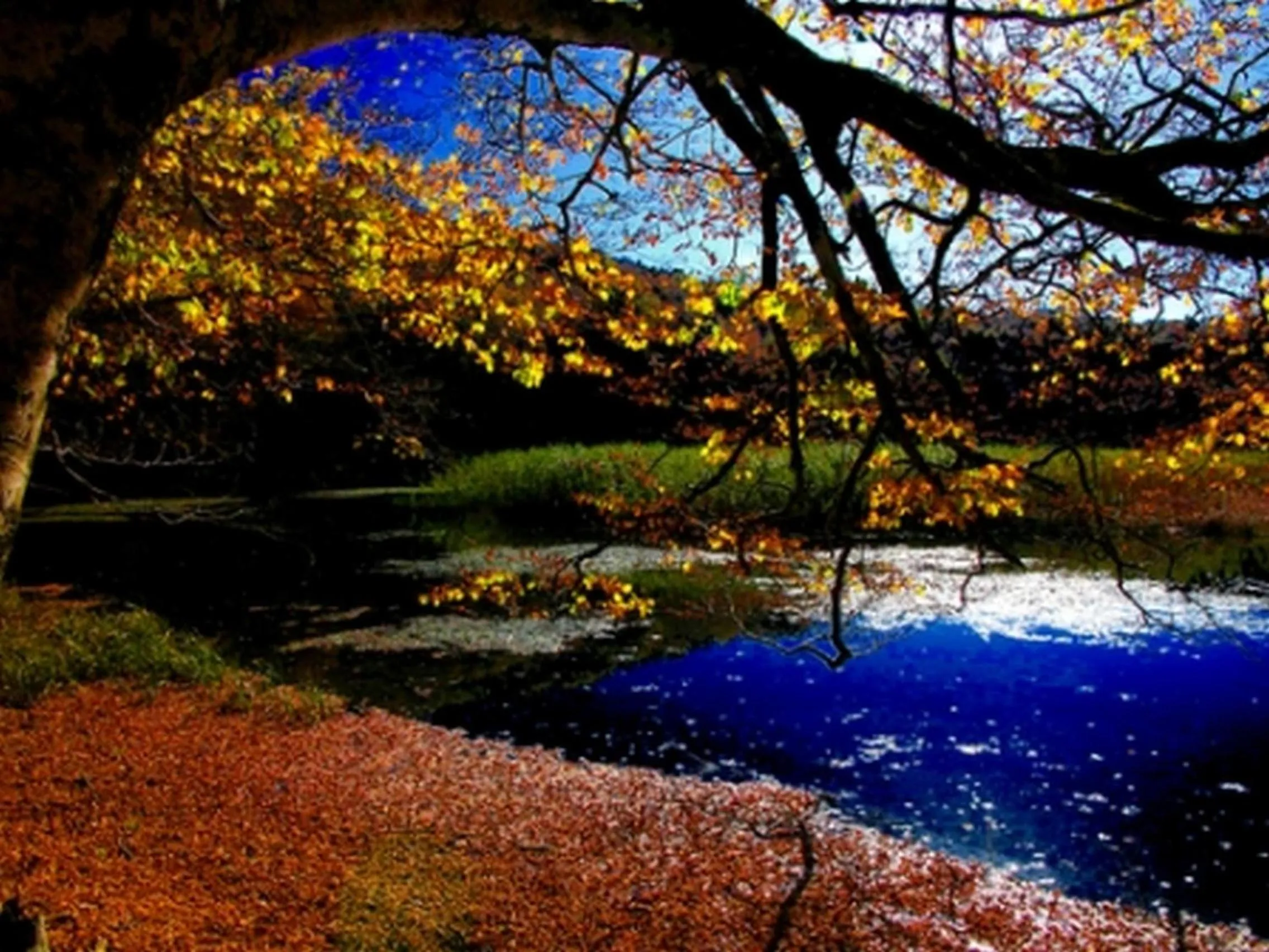 Nearby landmark in Hotel La Carruba