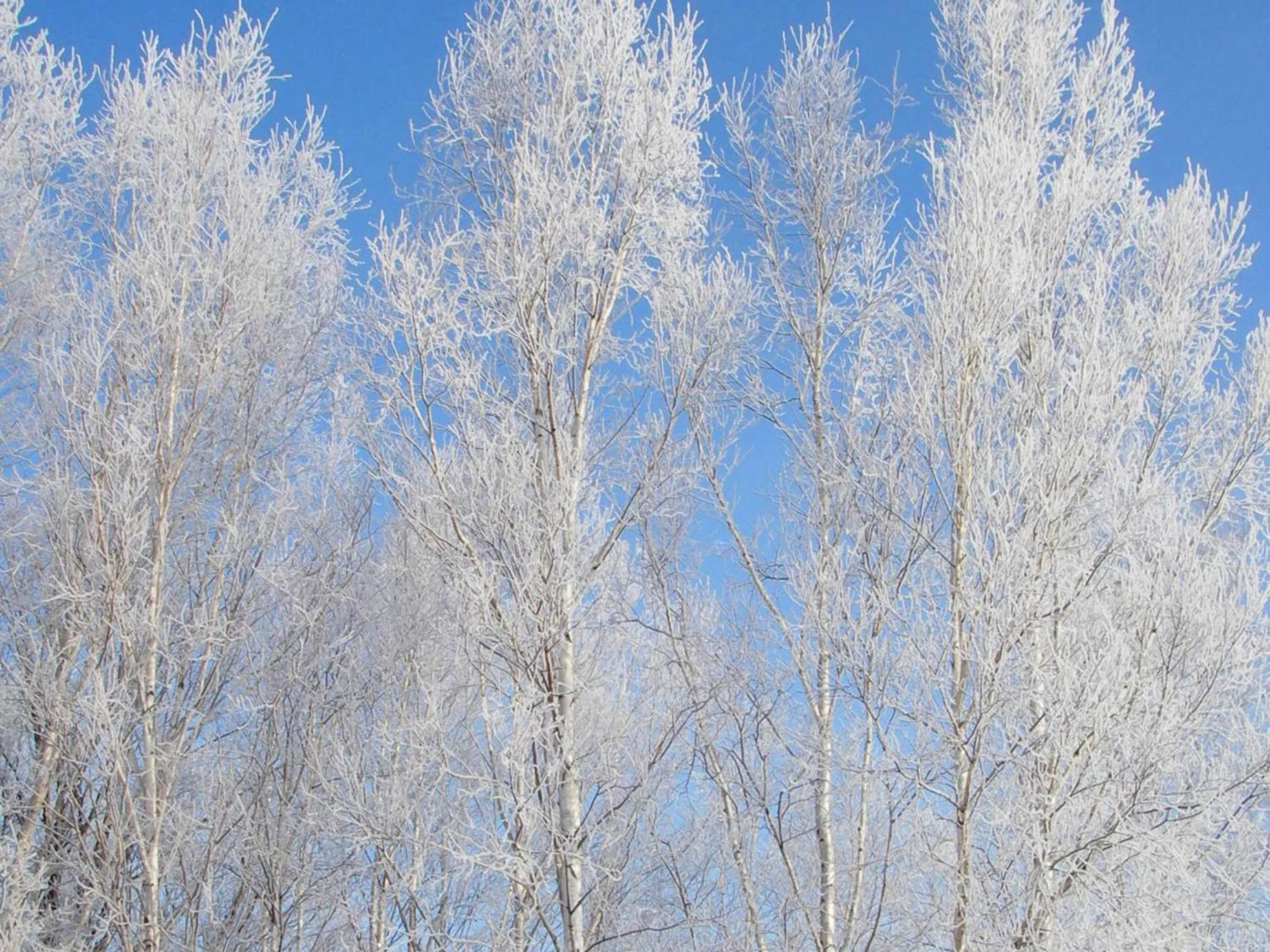 Nearby landmark in Pension Hoshi Ni Negaiwo