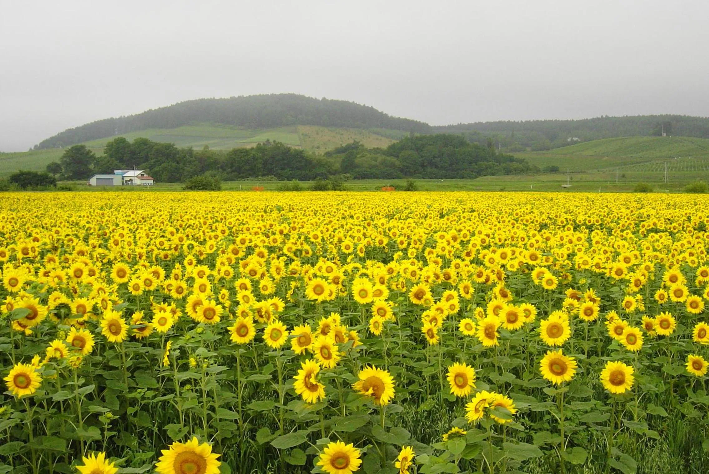 Hiking in Pension Hoshi Ni Negaiwo