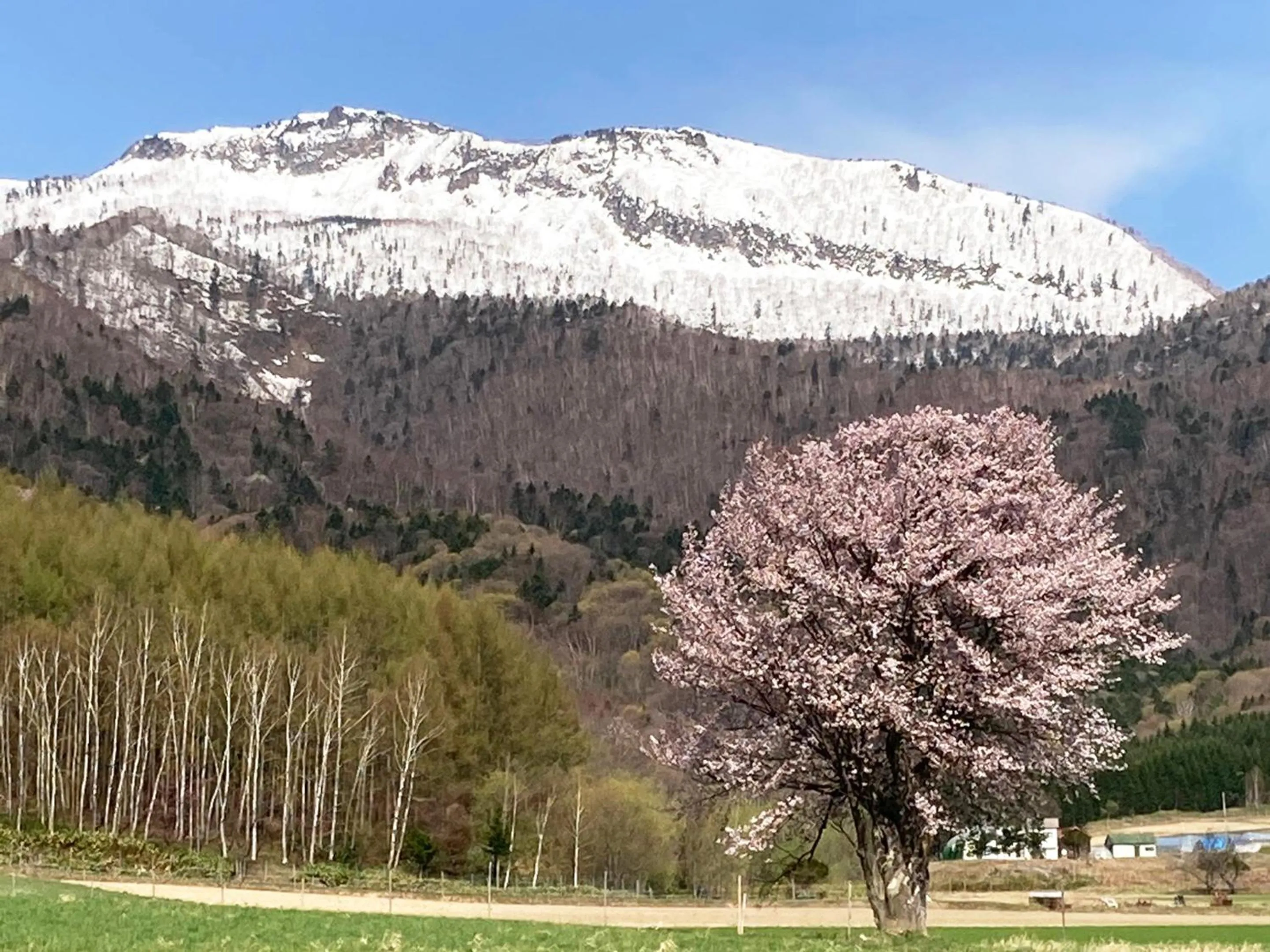 Nearby landmark in Pension Hoshi Ni Negaiwo