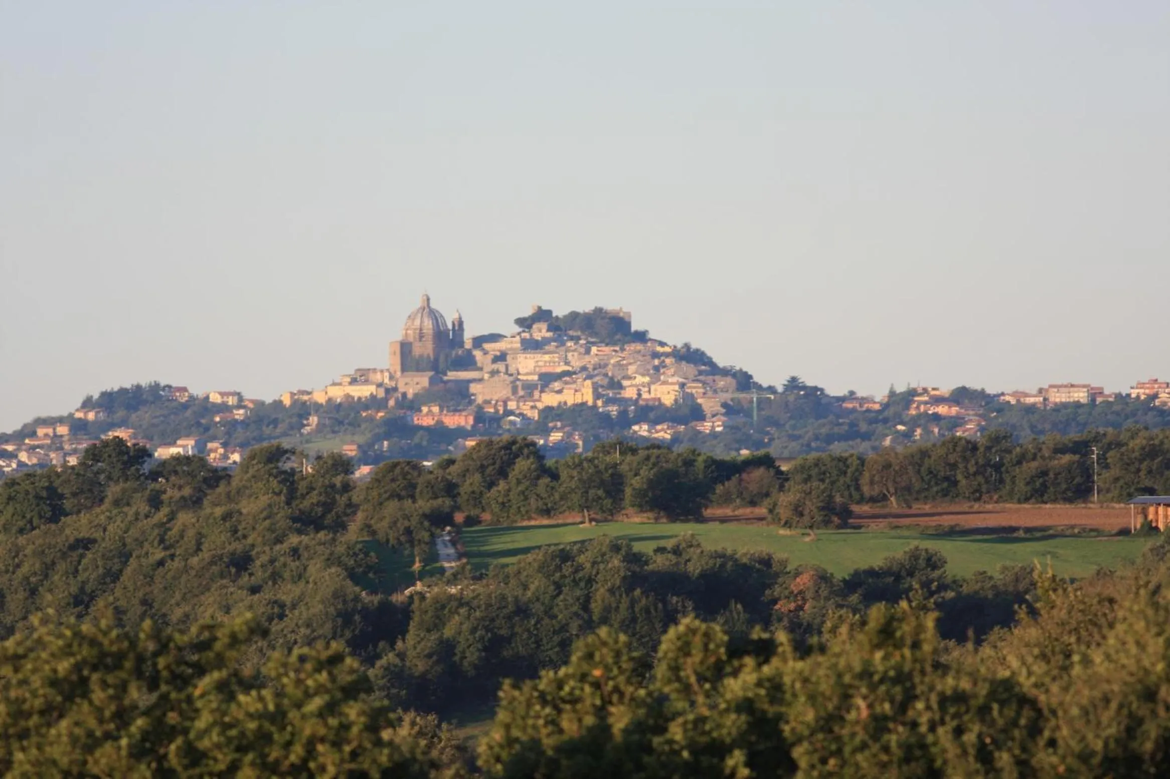 Area and facilities in Hotel La Torricella