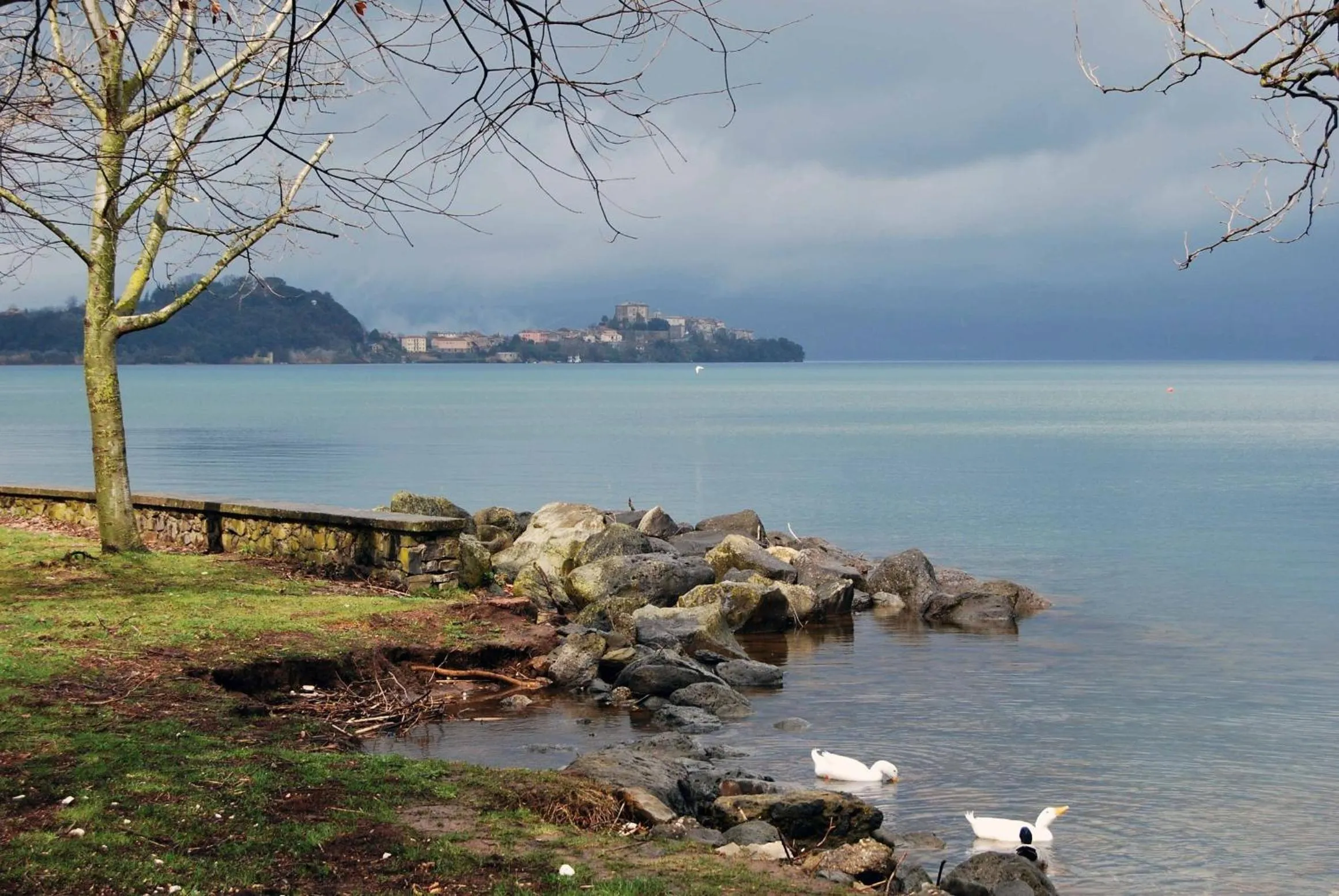 Area and facilities in Hotel La Torricella