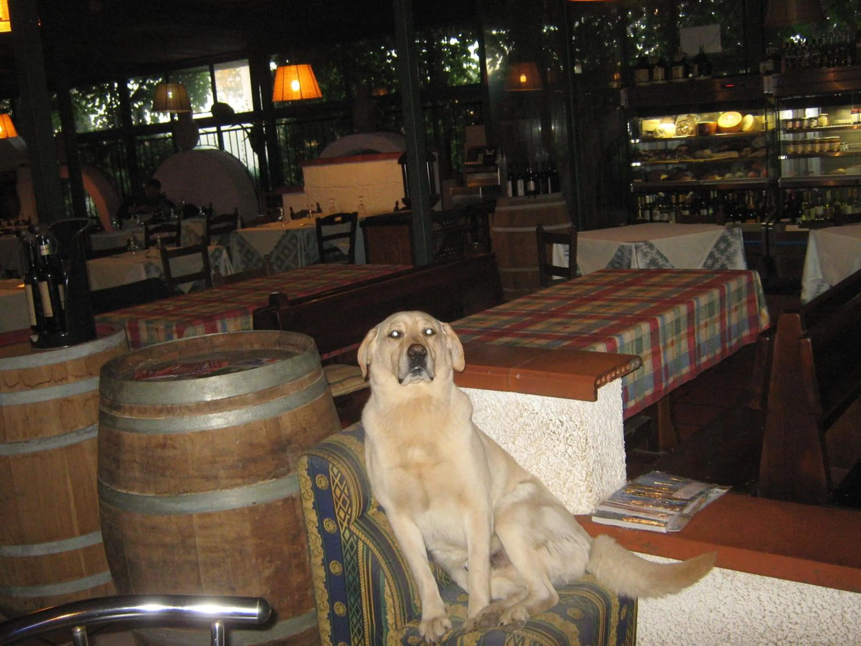 Restaurant/places to eat in Hotel La Torricella