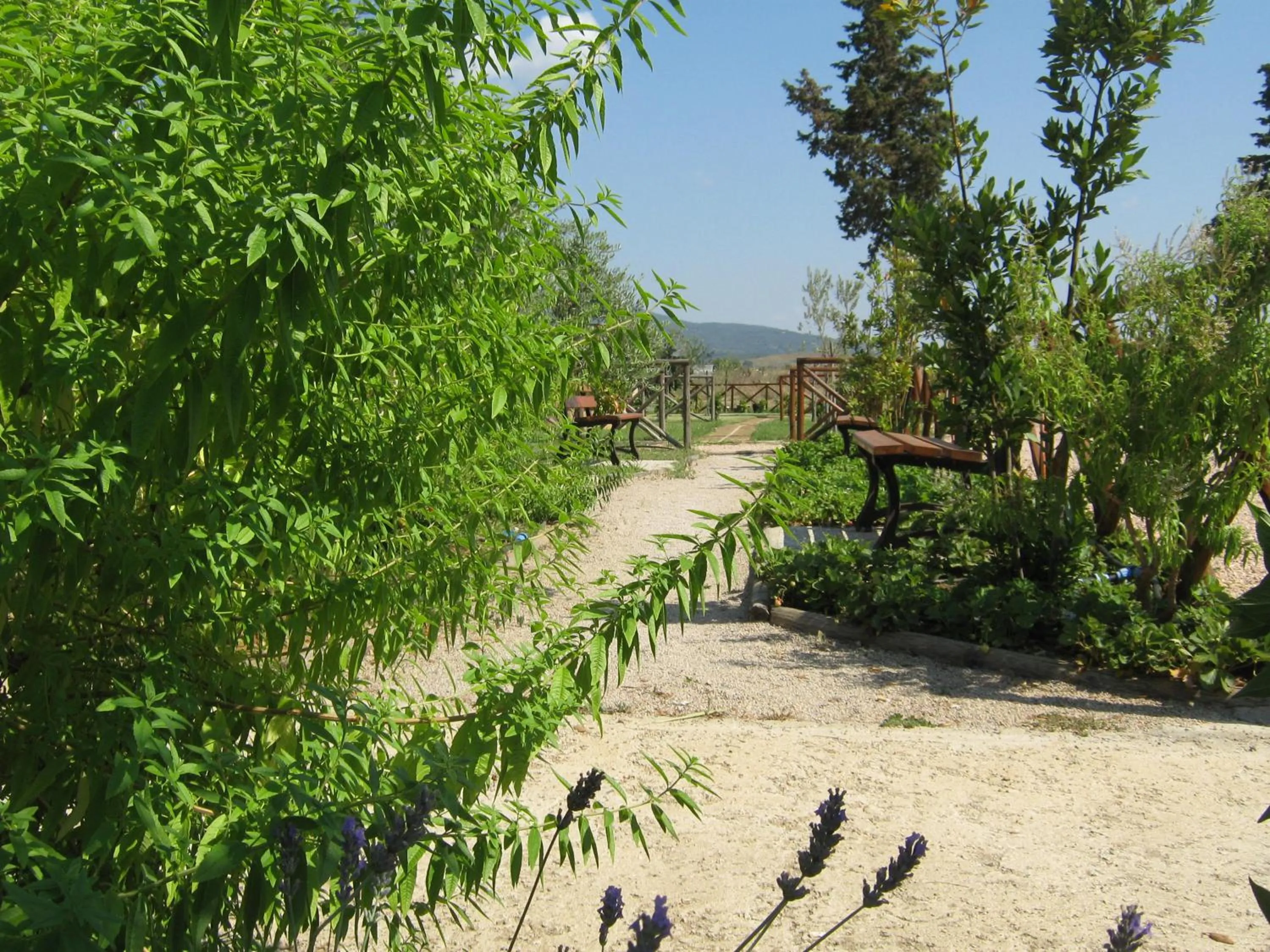 Garden in Hotel La Torricella