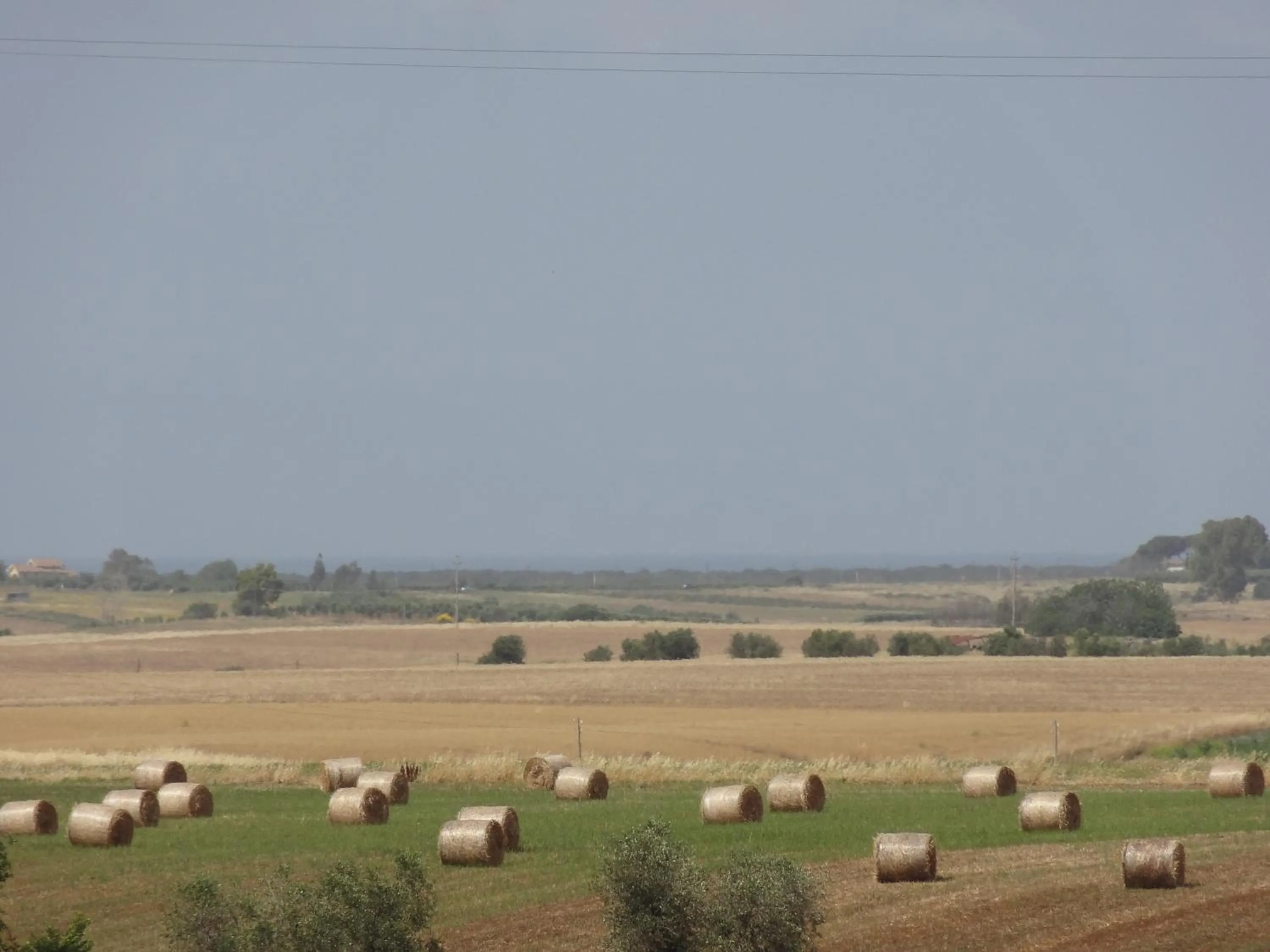 Area and facilities in Hotel La Torricella