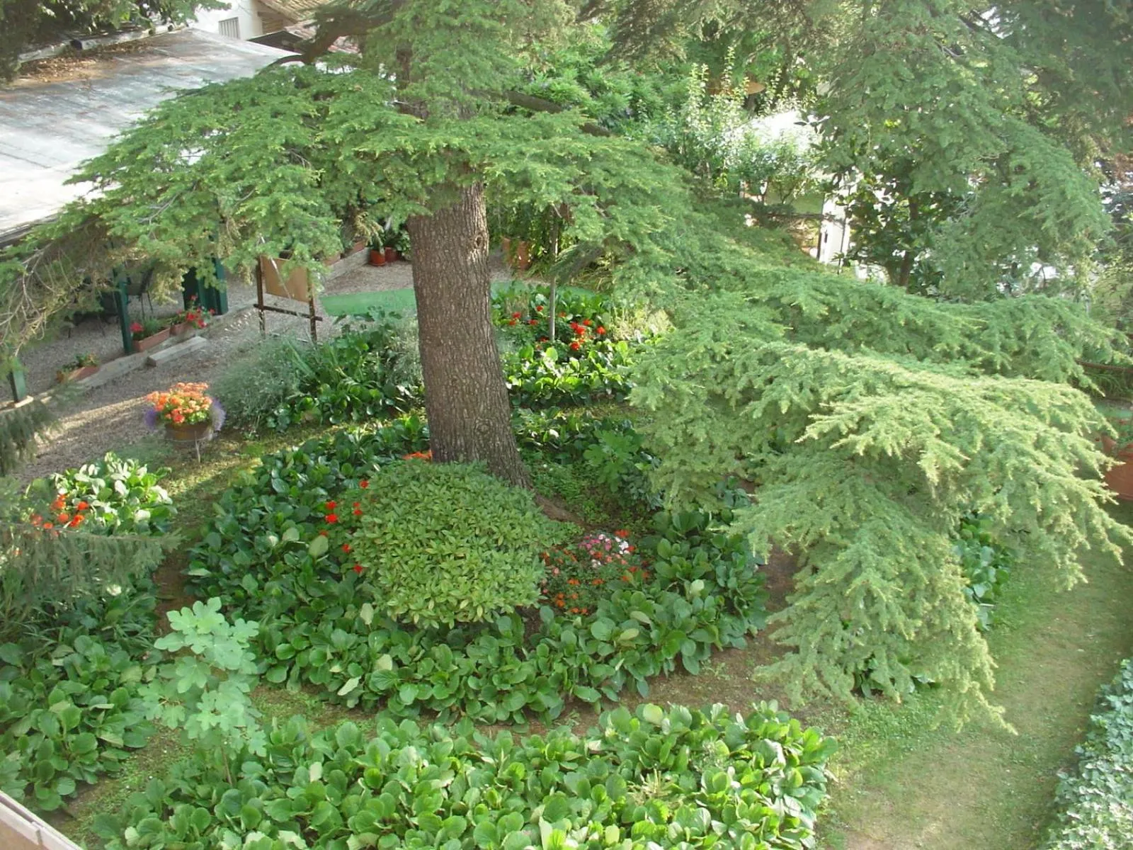 Garden view in Malpassuti Resort