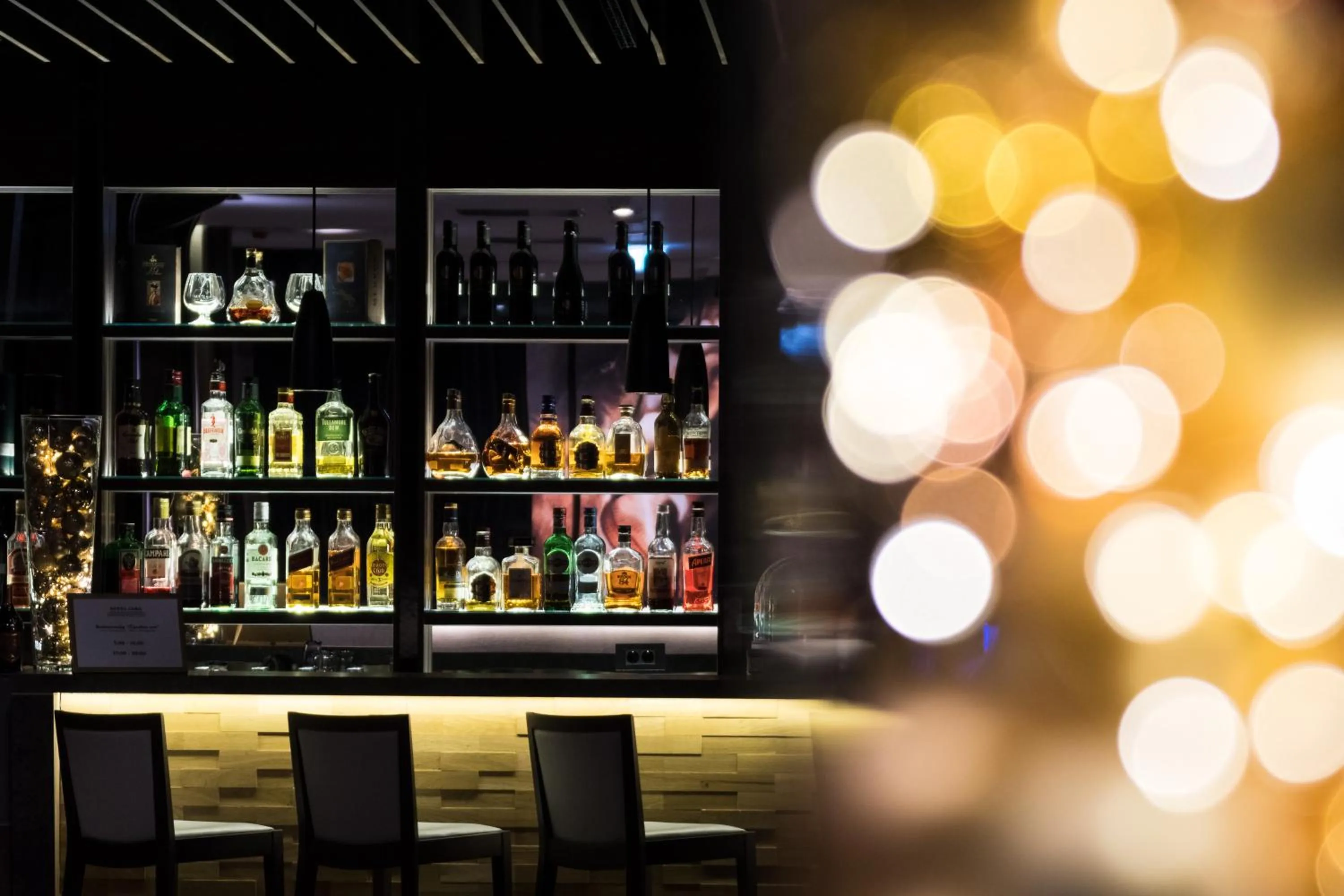 Lounge or bar in Postojna Cave Hotel Jama