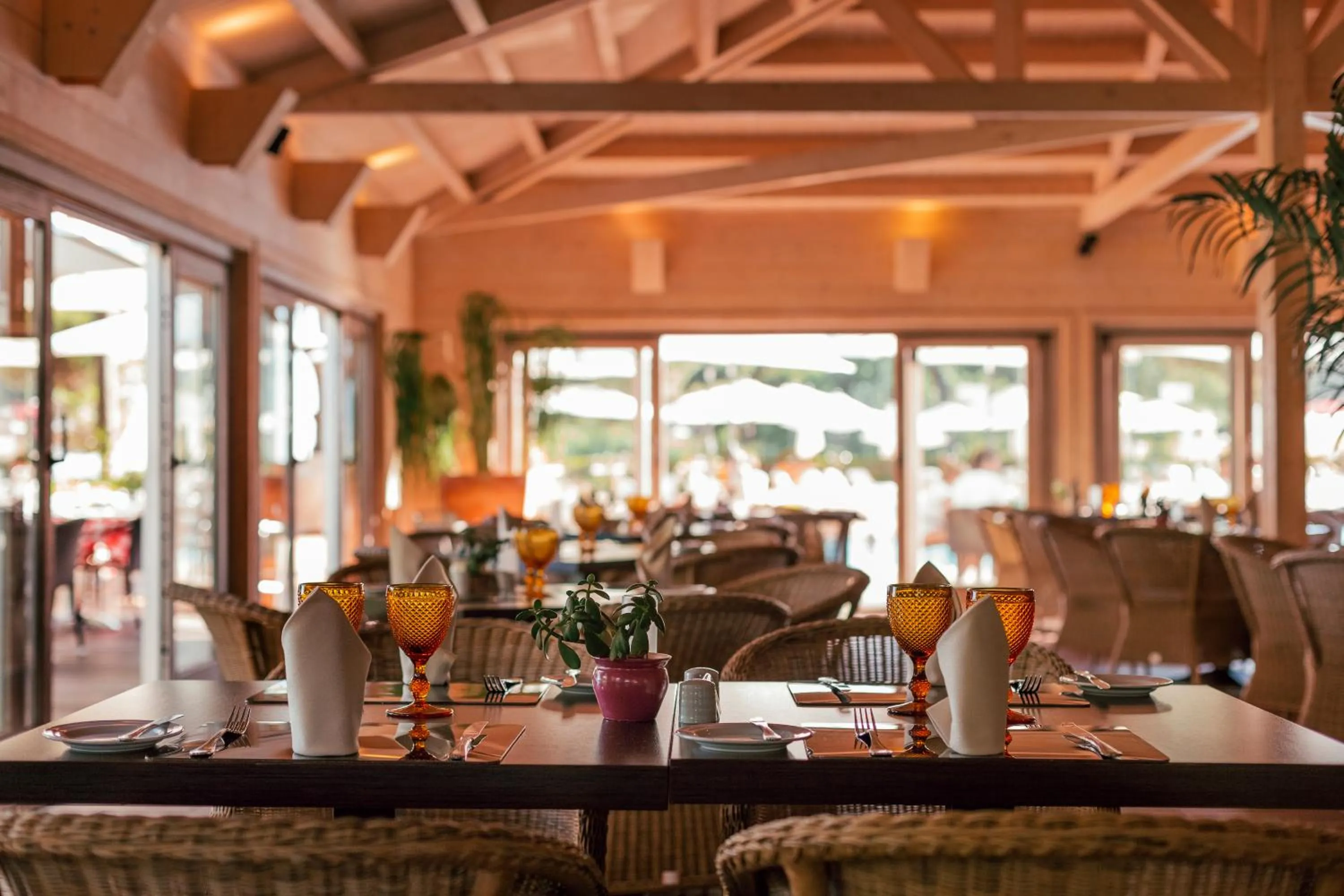 Restaurant/places to eat in PortoBay Falesia