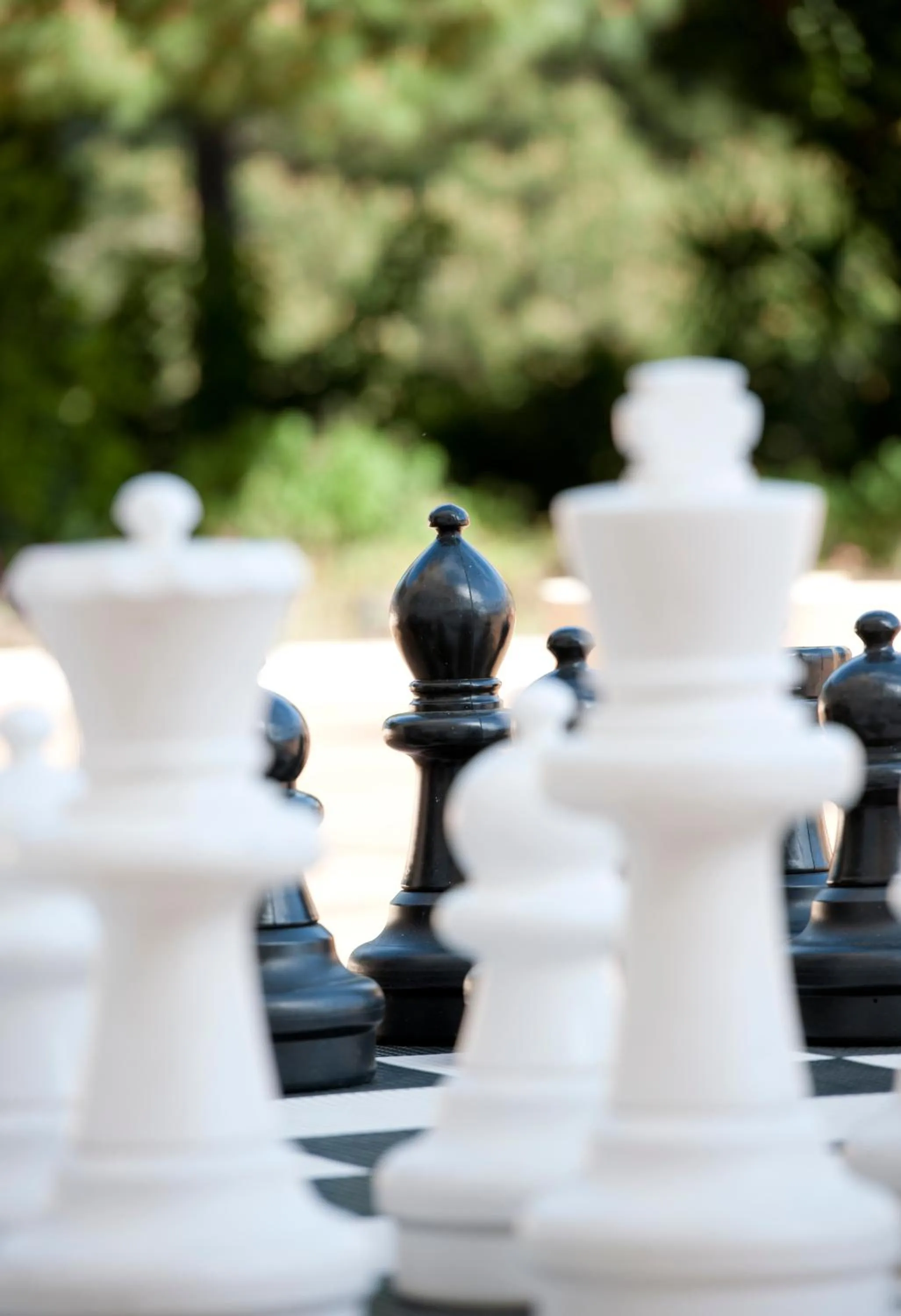 Activities in PortoBay Falesia