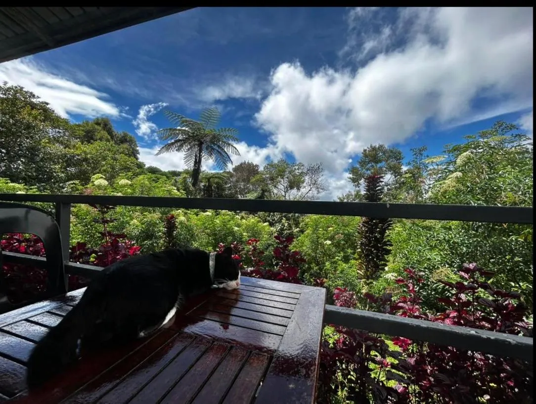 Natural landscape in Ayana Holiday Resort