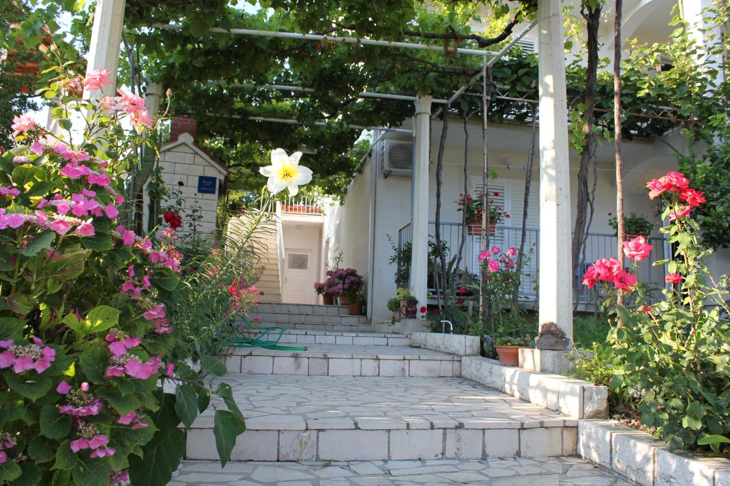 Garden in Villa Ive
