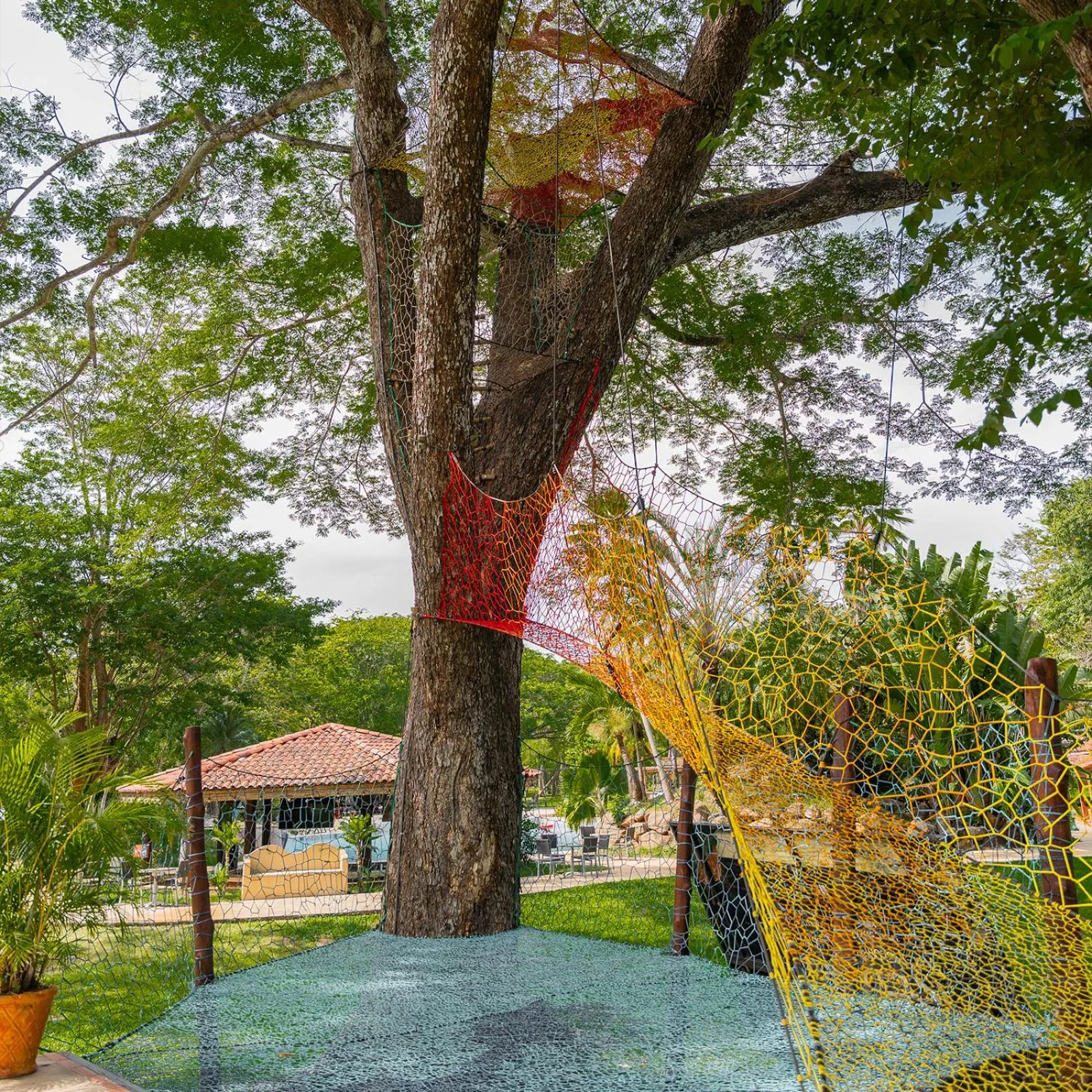 Entertainment in CC Beach Front Papagayo All Inclusive