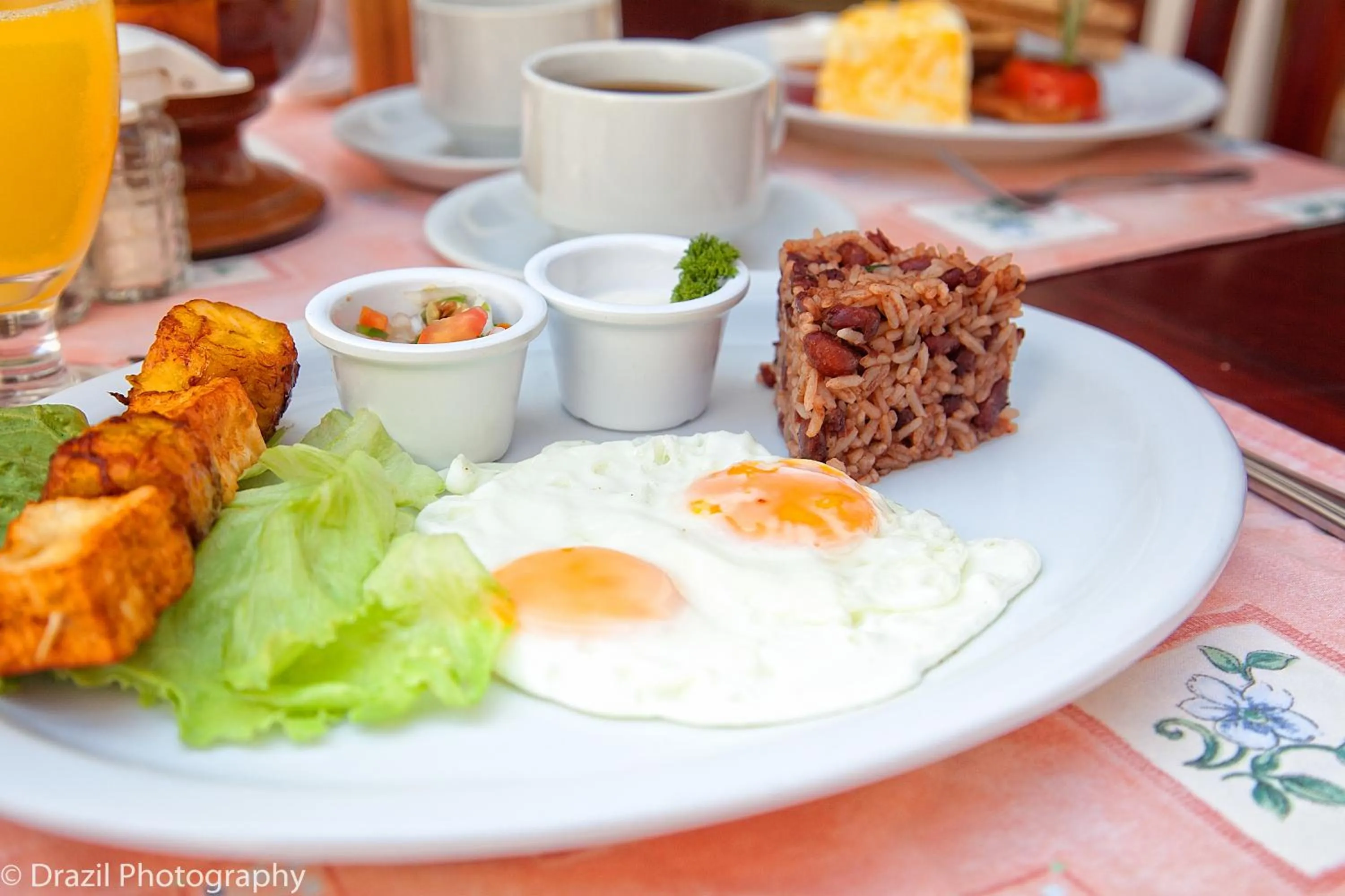 Restaurant/places to eat in El Almirante