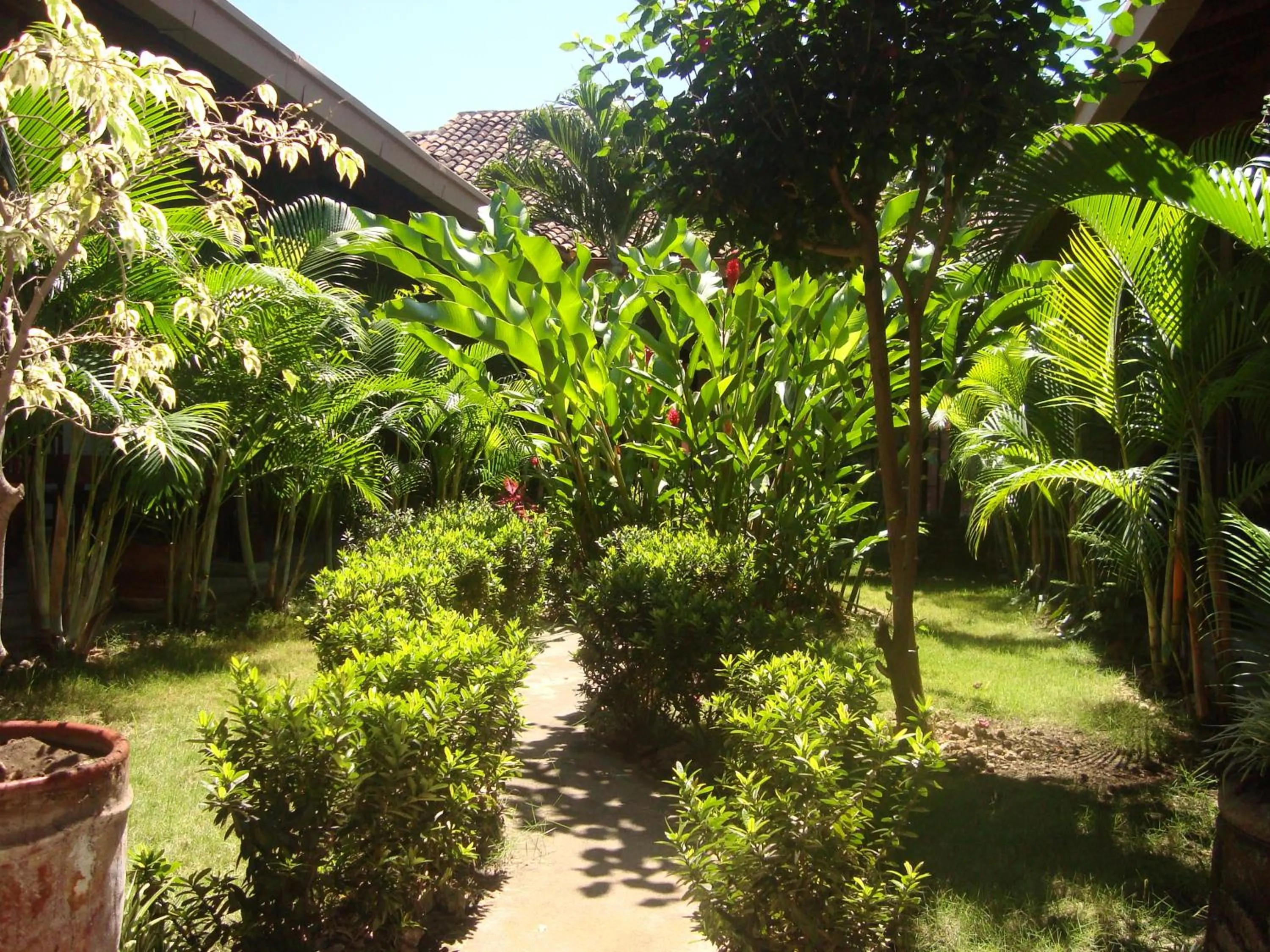 Garden in El Almirante