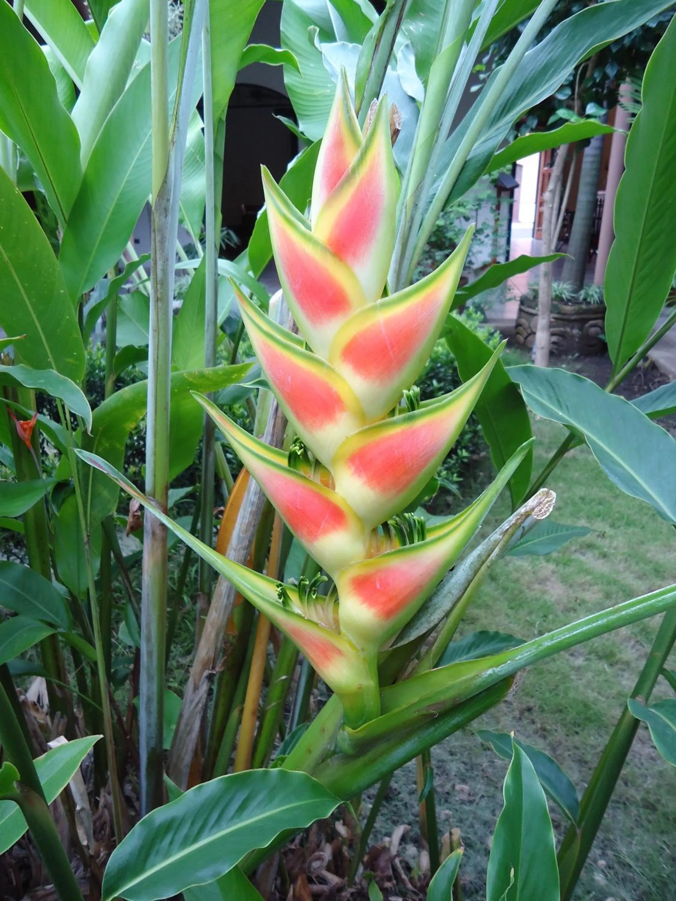 View (from property/room) in El Almirante
