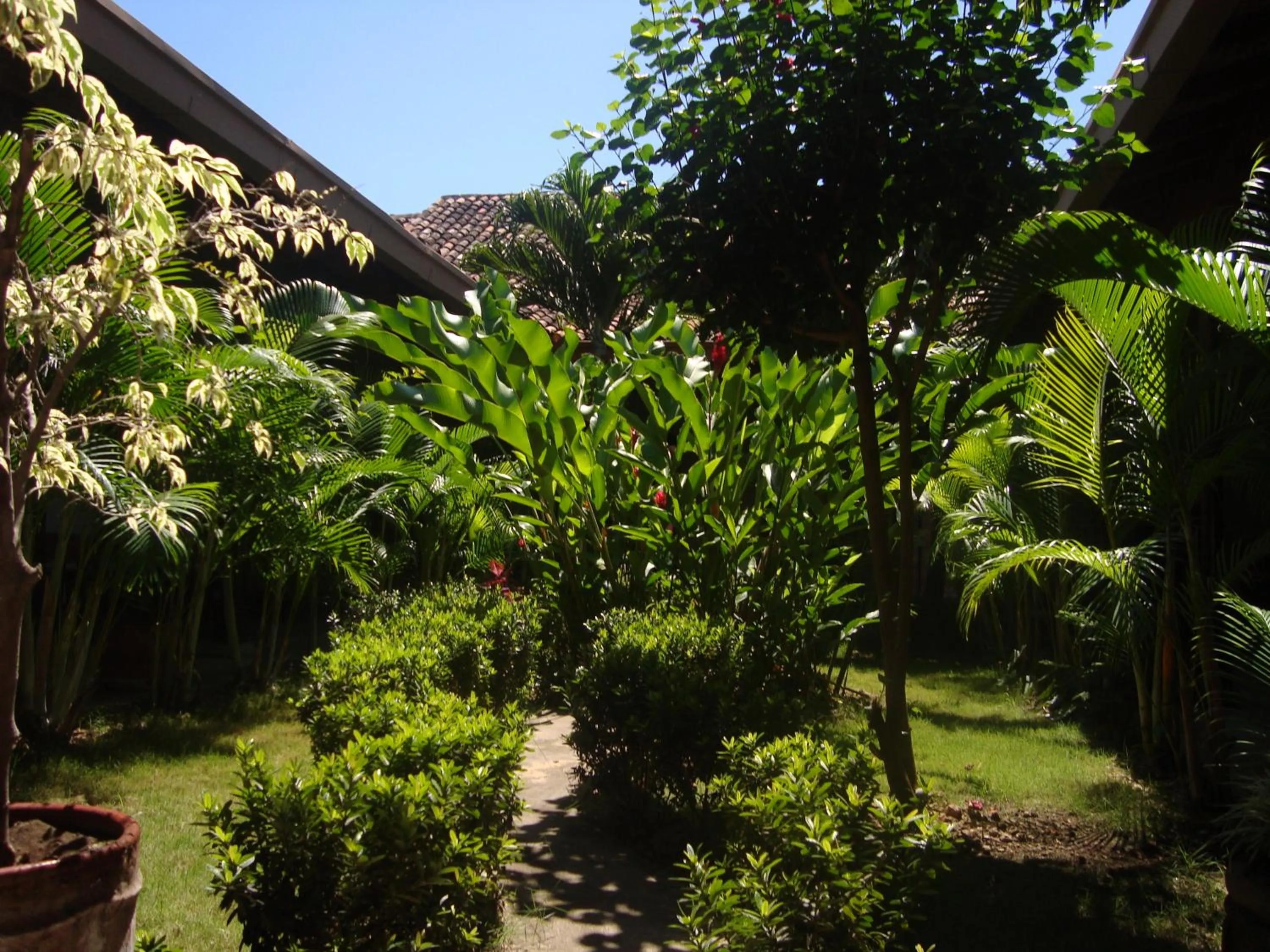 Garden in El Almirante