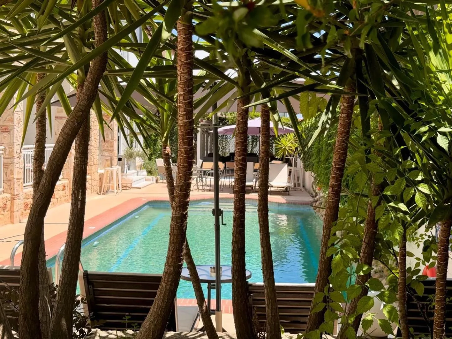 Swimming pool in Hotel Pighi