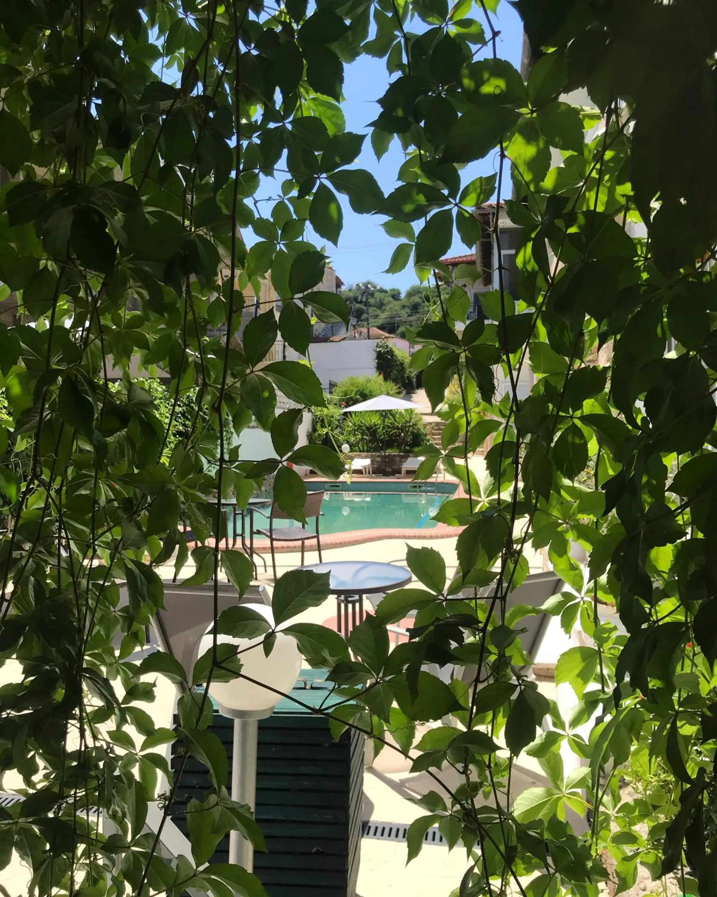 Swimming pool in Hotel Pighi