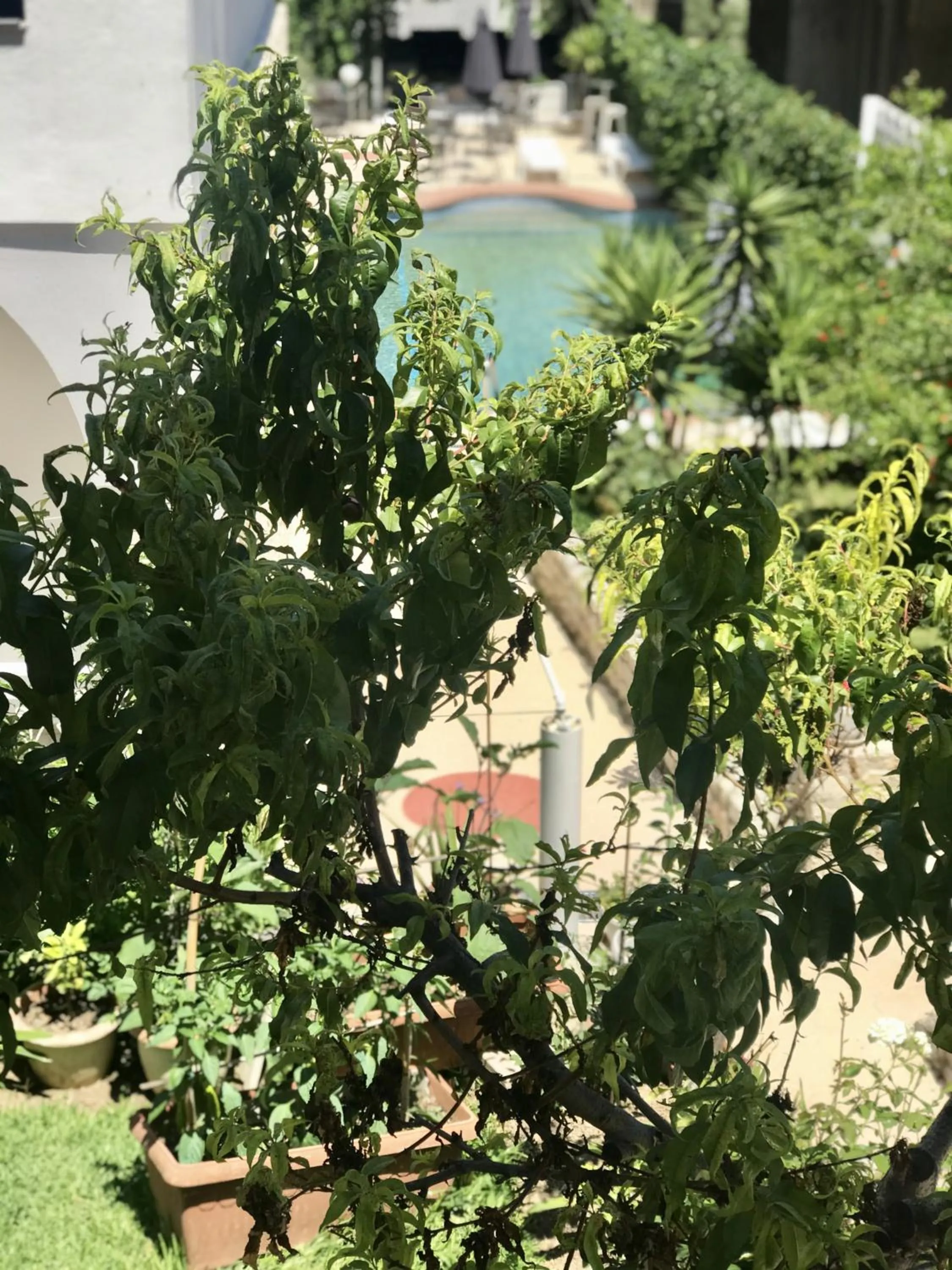 Property building in Hotel Pighi