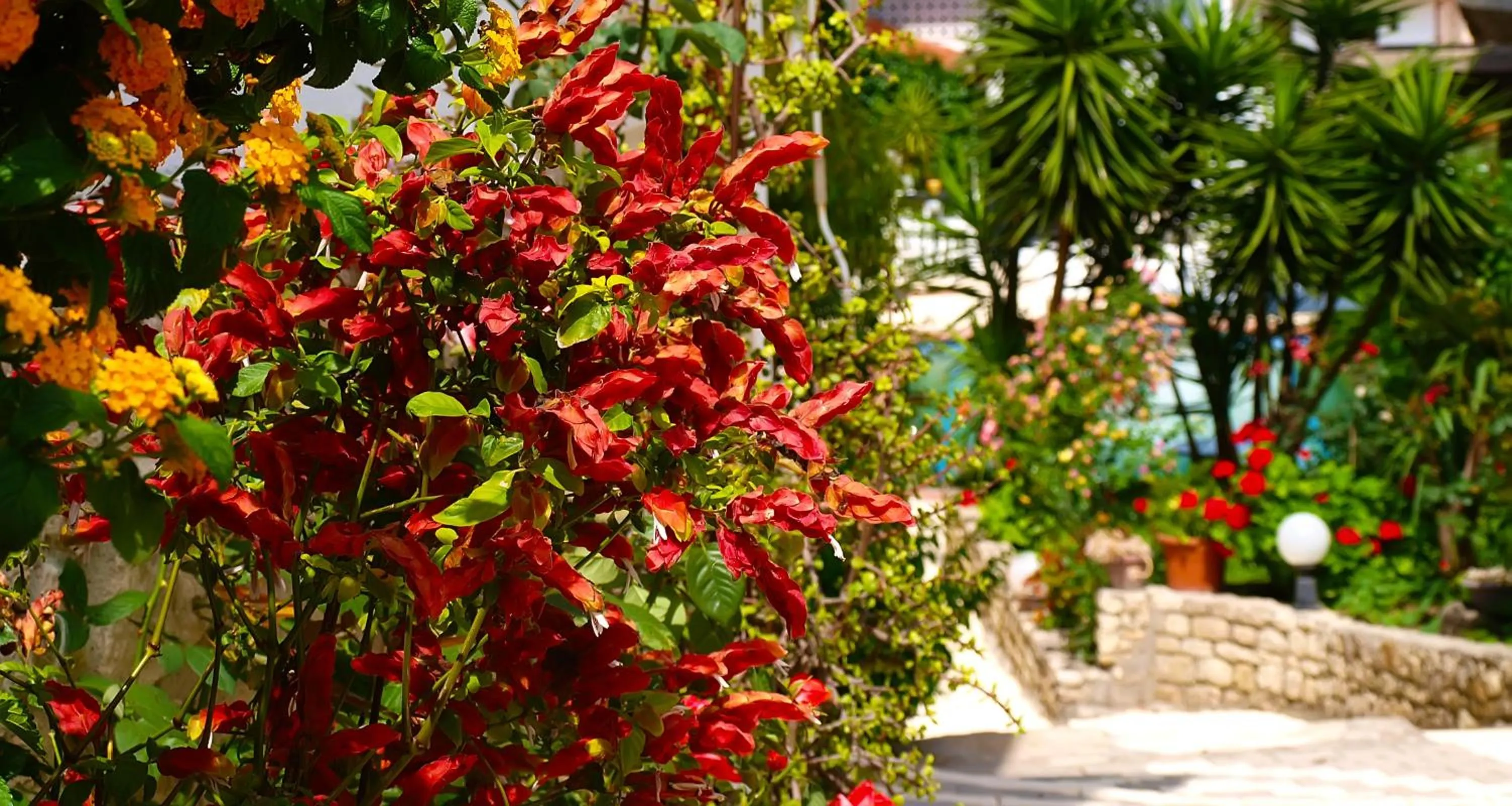 Garden in Hotel Pighi
