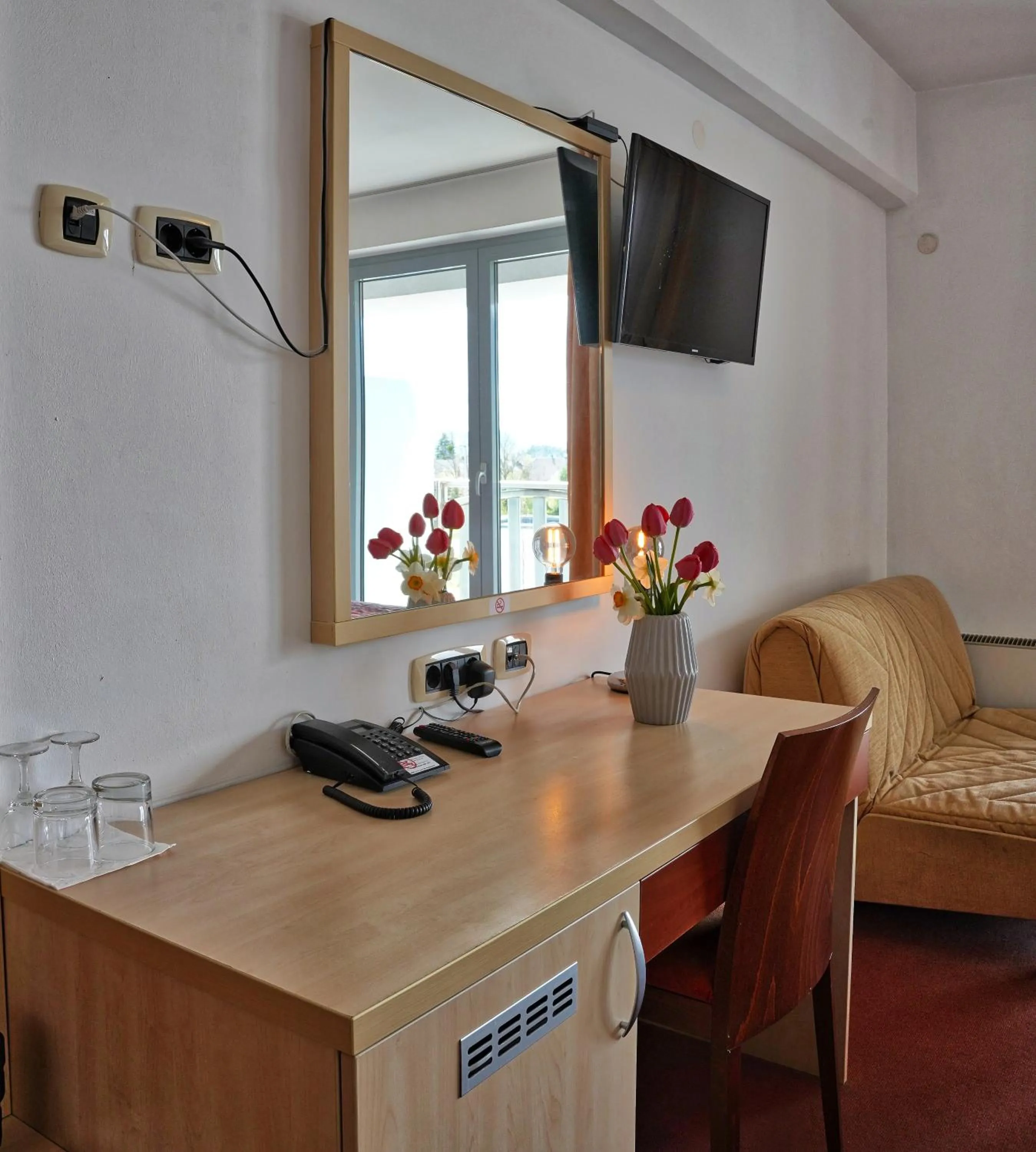 TV and multimedia in Hotel Krek Superior