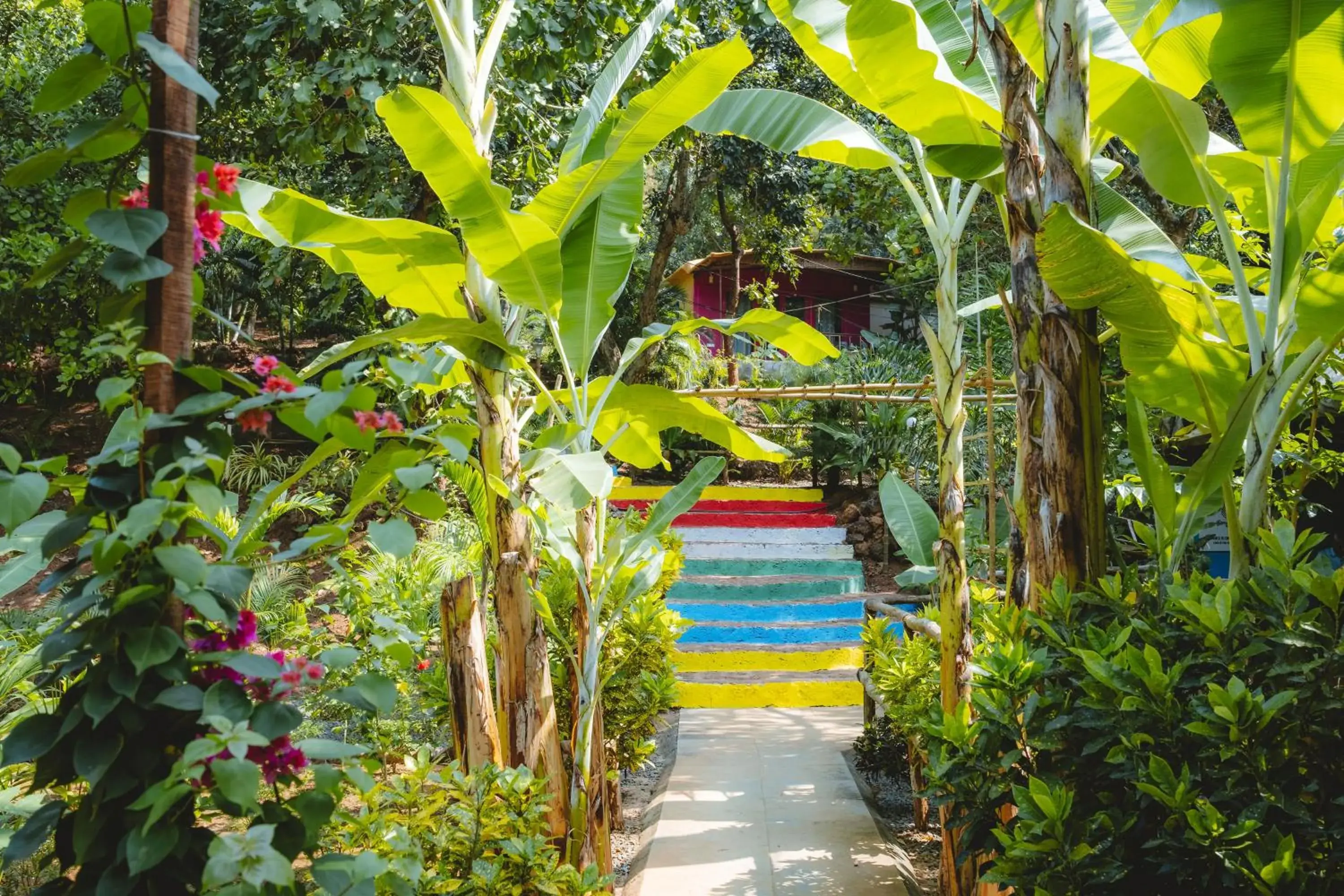 Samyama Retreat Samyama Retreat