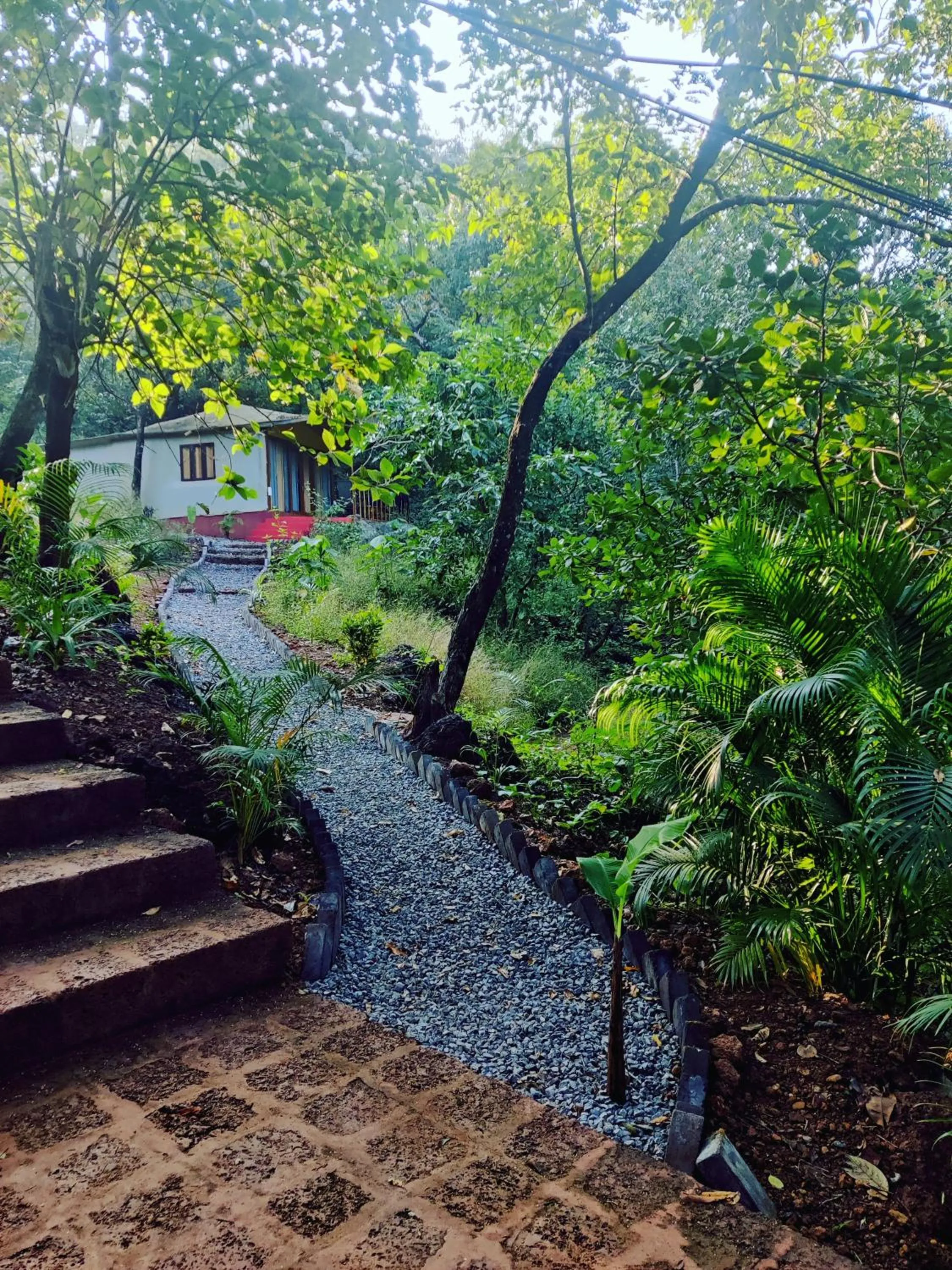 Quiet street view in Samyama Retreat