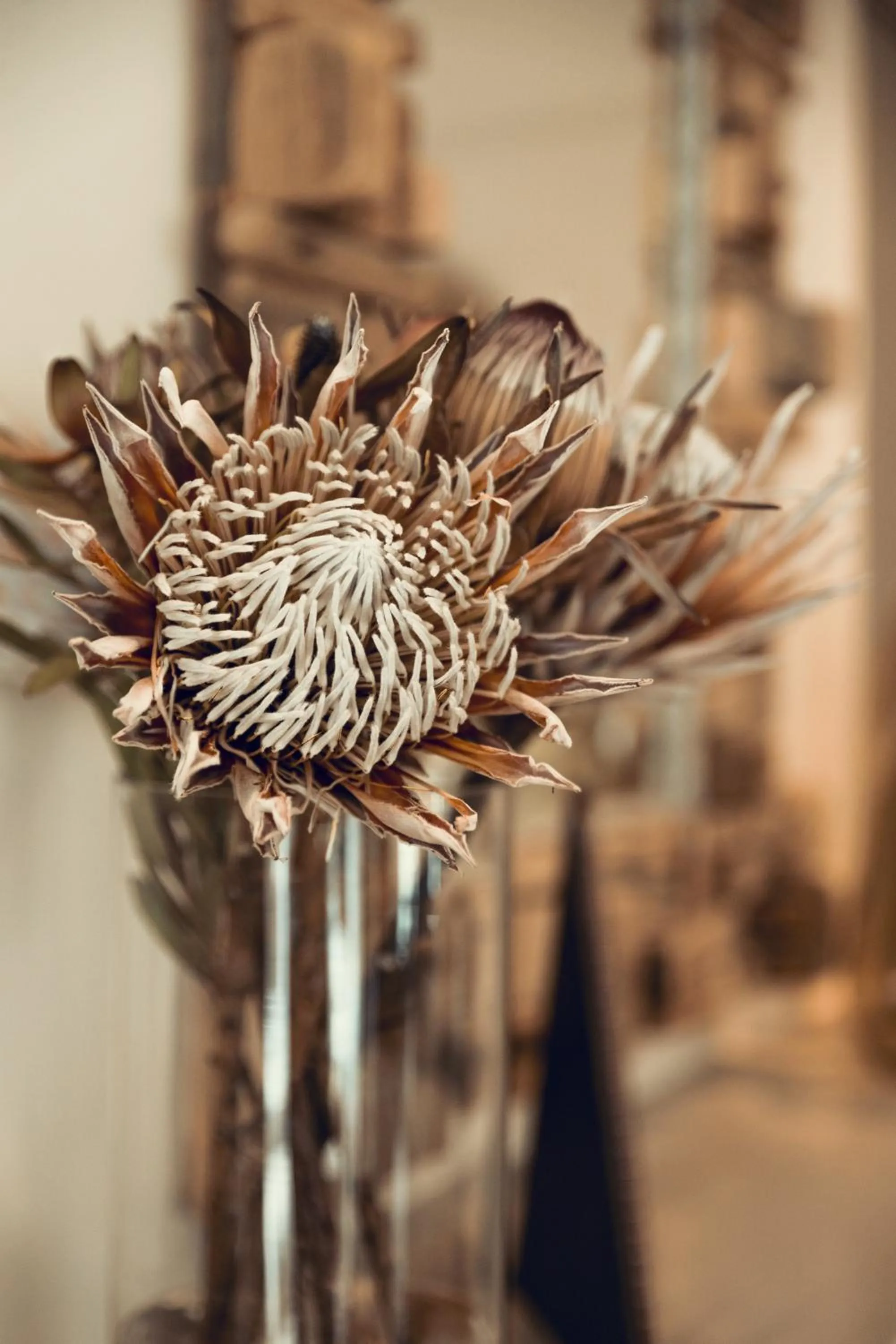 Decorative detail in Antrim Villa by Antrim Collection