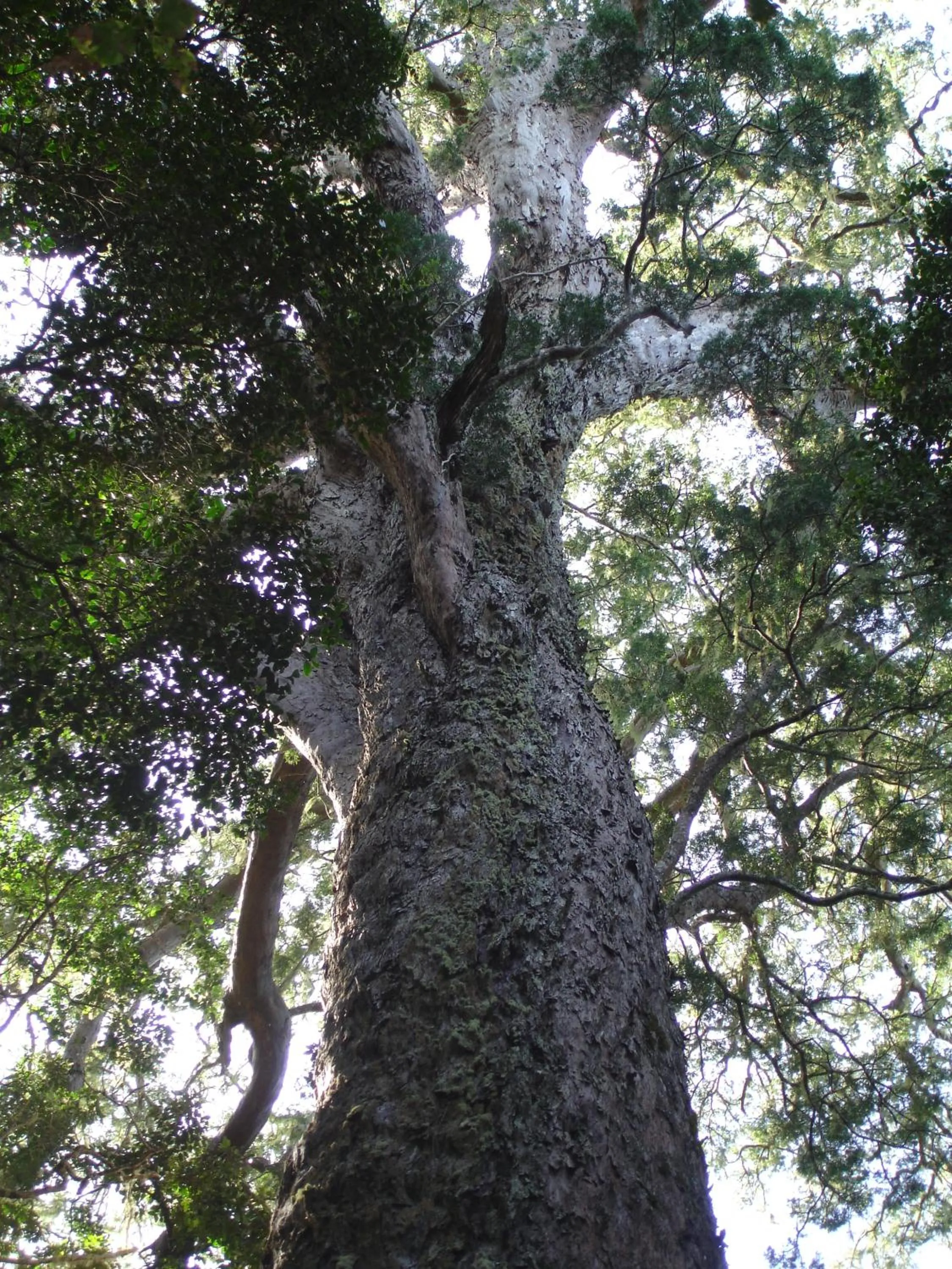 Hiking in Storms River Guest Lodge