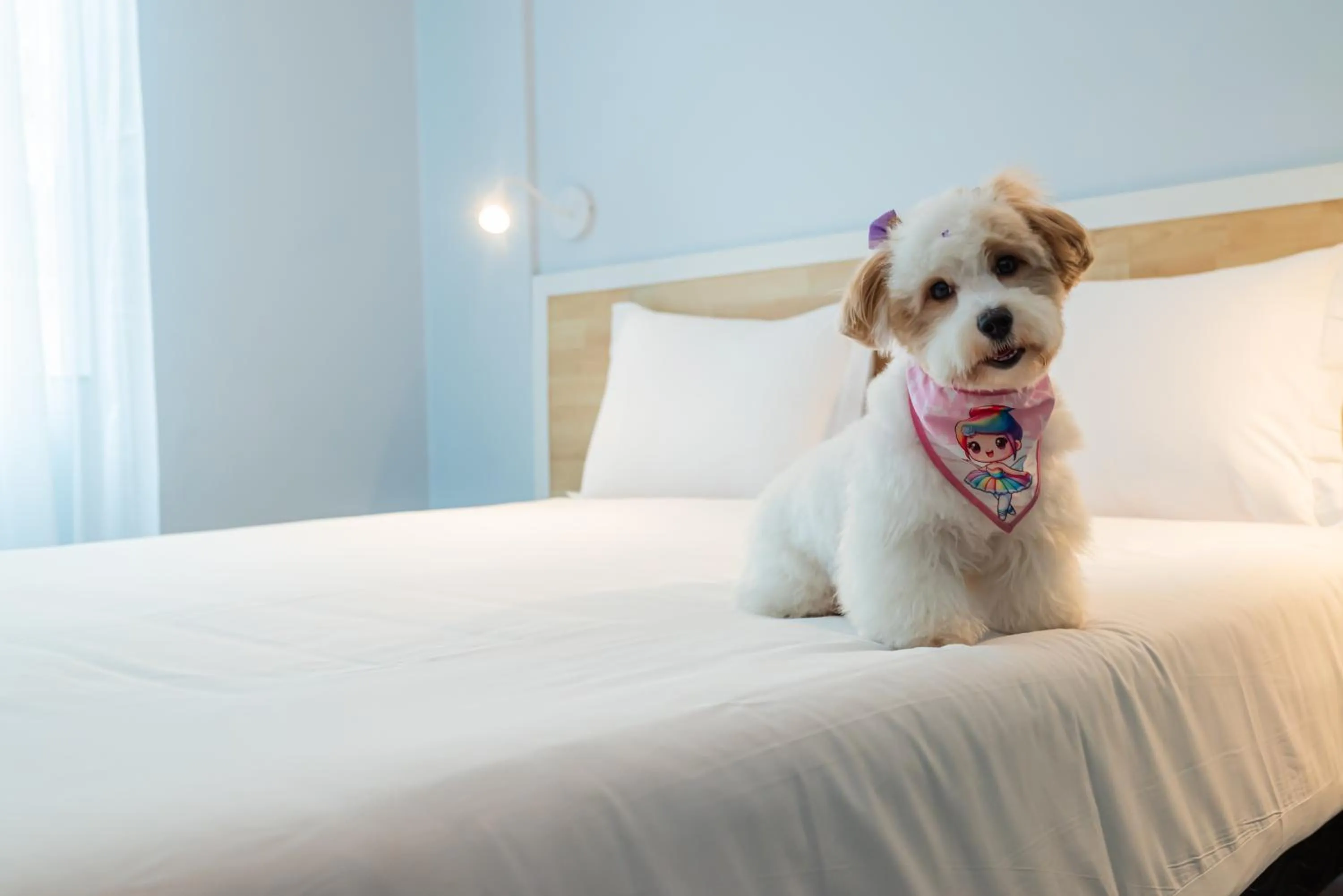 Bed in ibis Styles Manaus