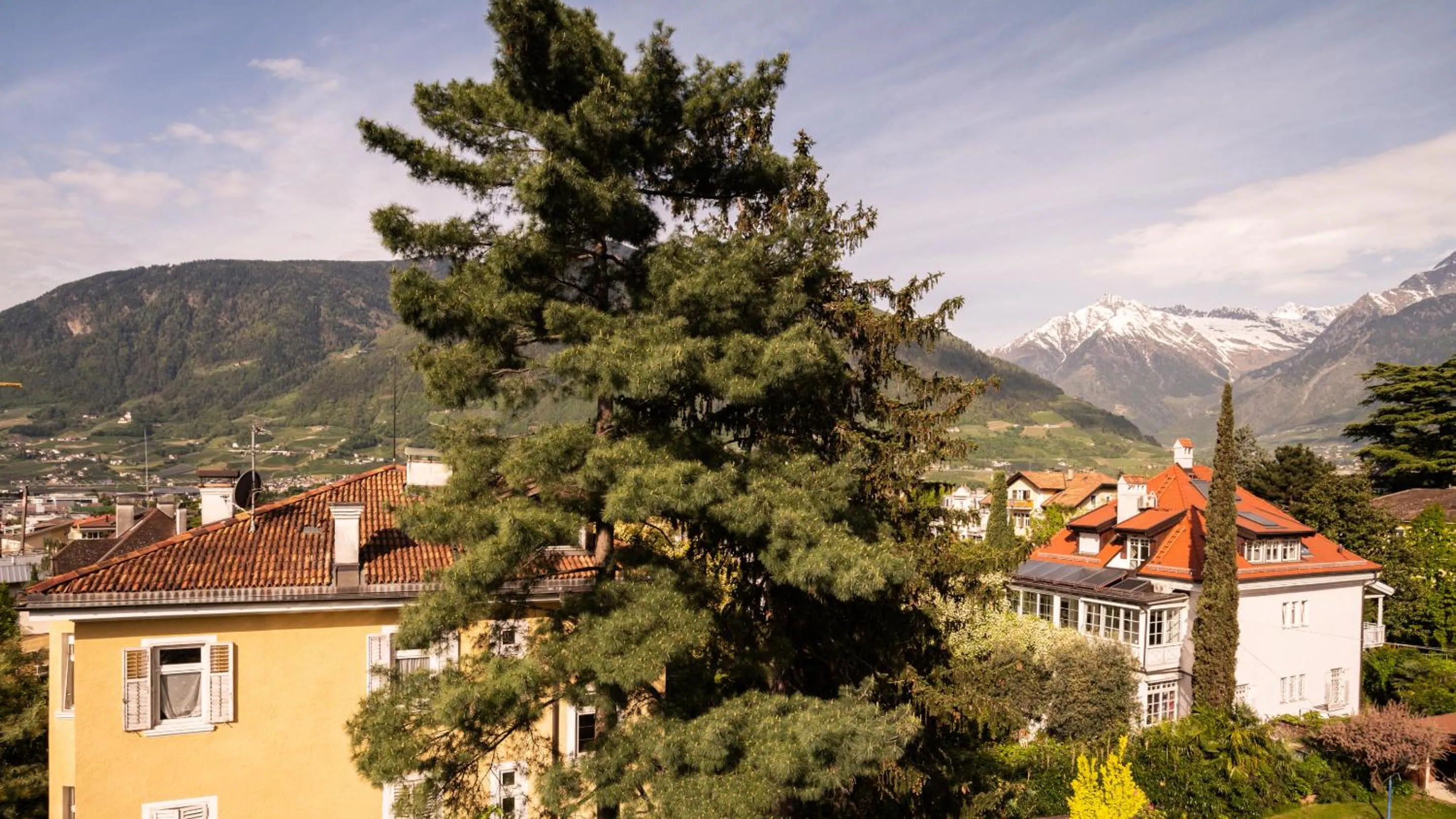 View (from property/room) in Hotel Villa Laurus