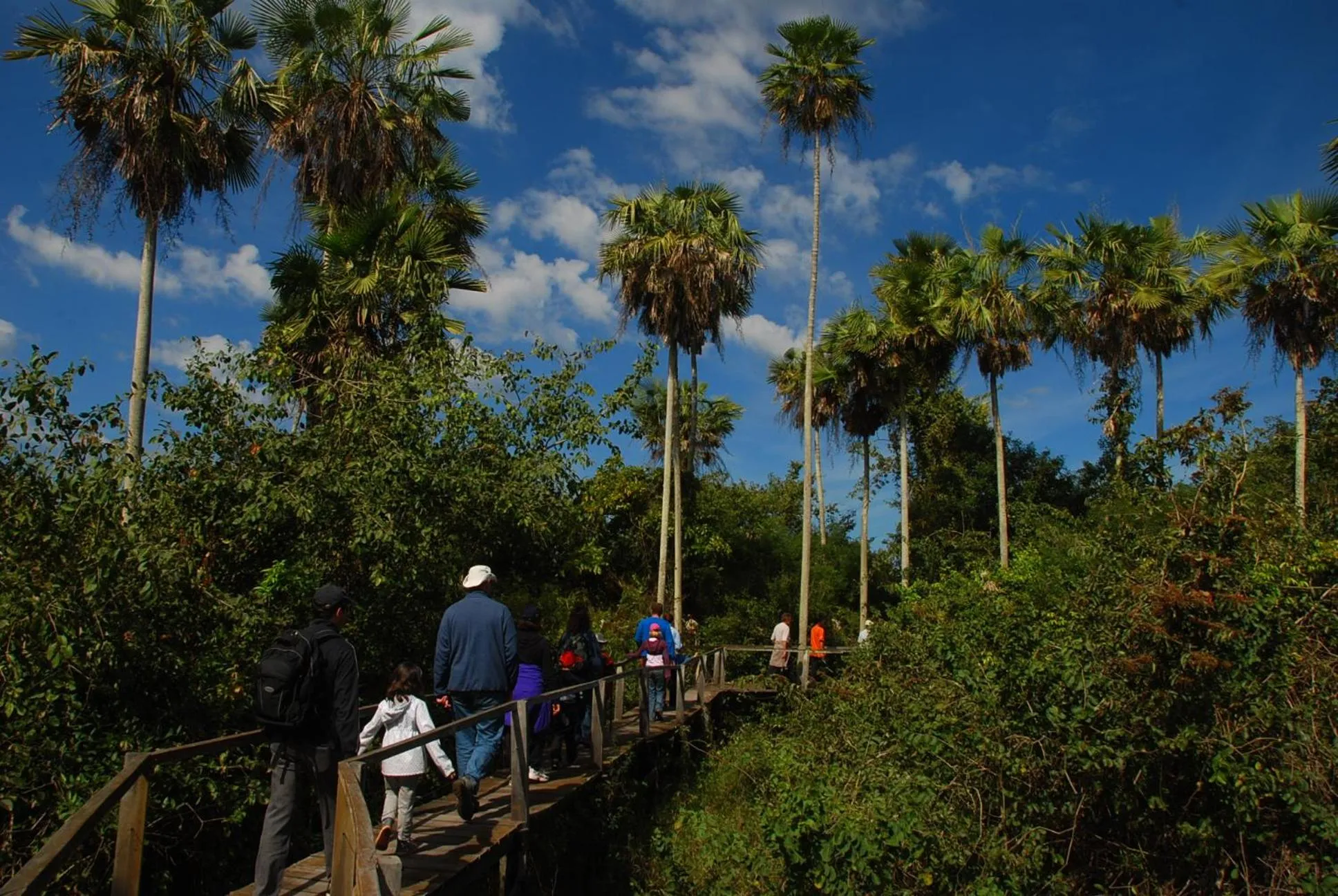 Fazenda San Francisco