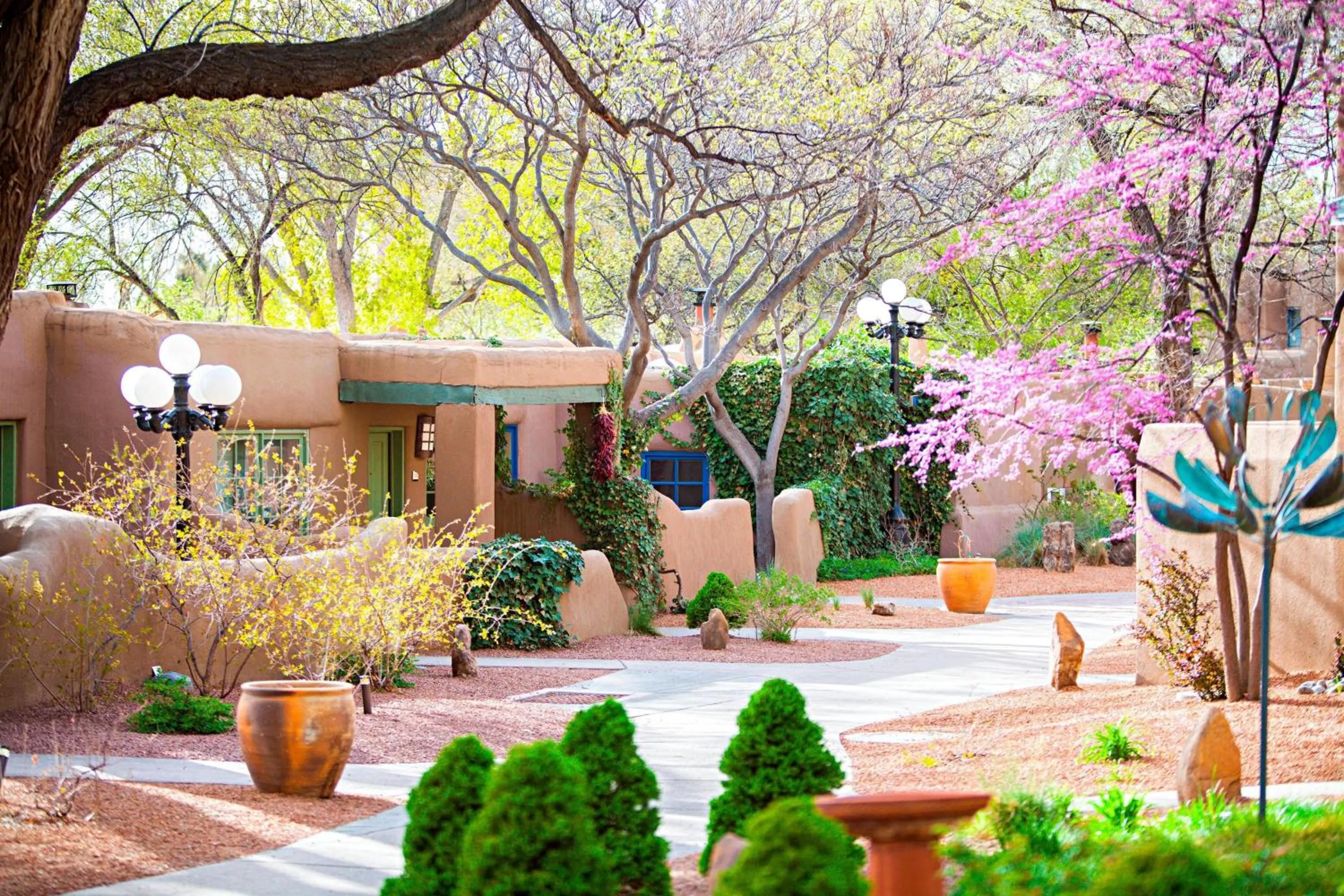 View (from property/room) in La Posada De Santa Fe, a Tribute Portfolio Resort & Spa
