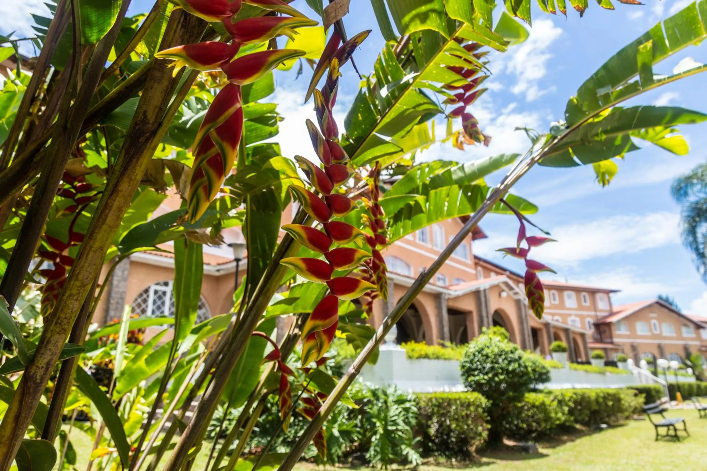 Garden in Grand Resort Serra Negra