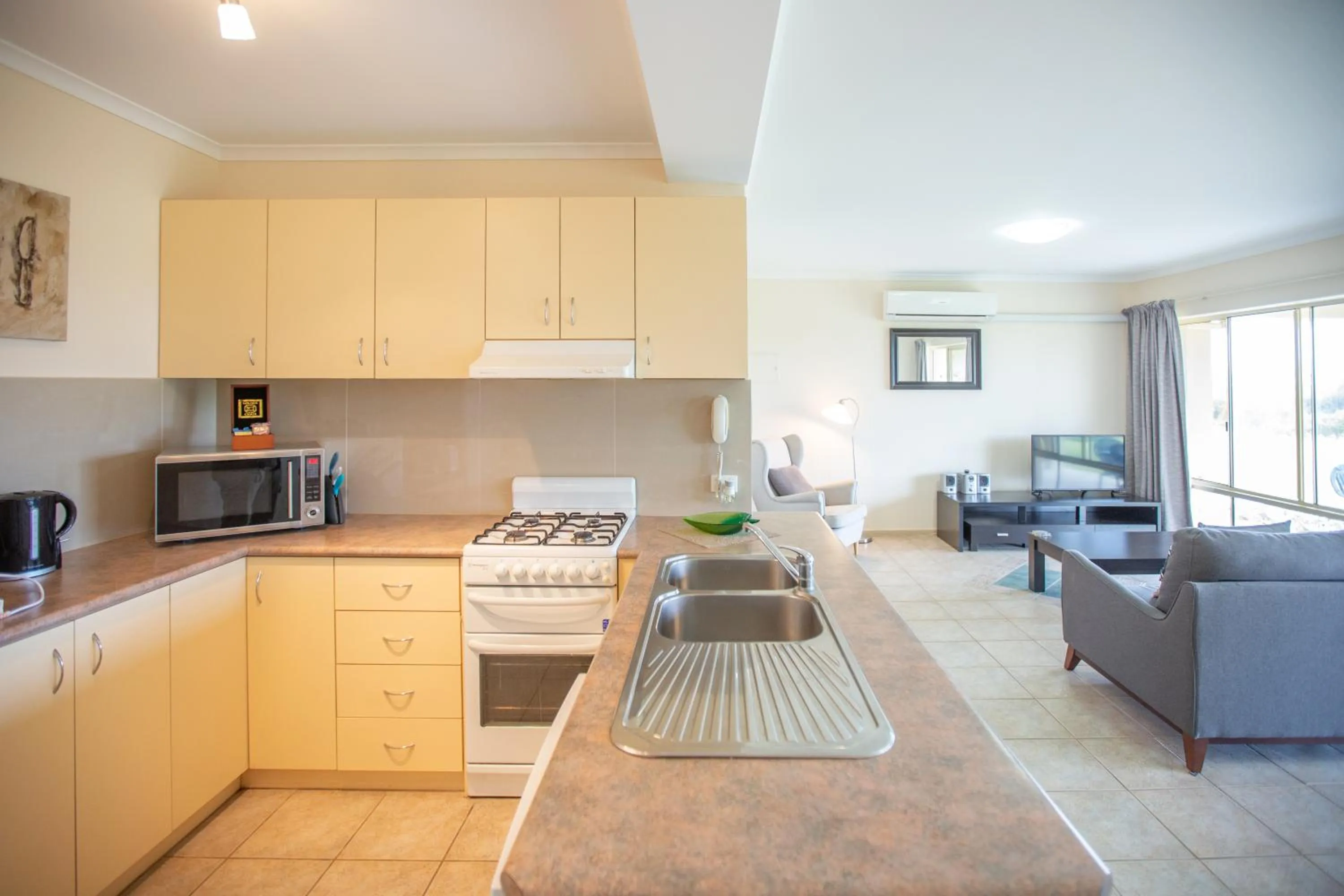 Kitchen or kitchenette in Lakeview Motel and Apartments