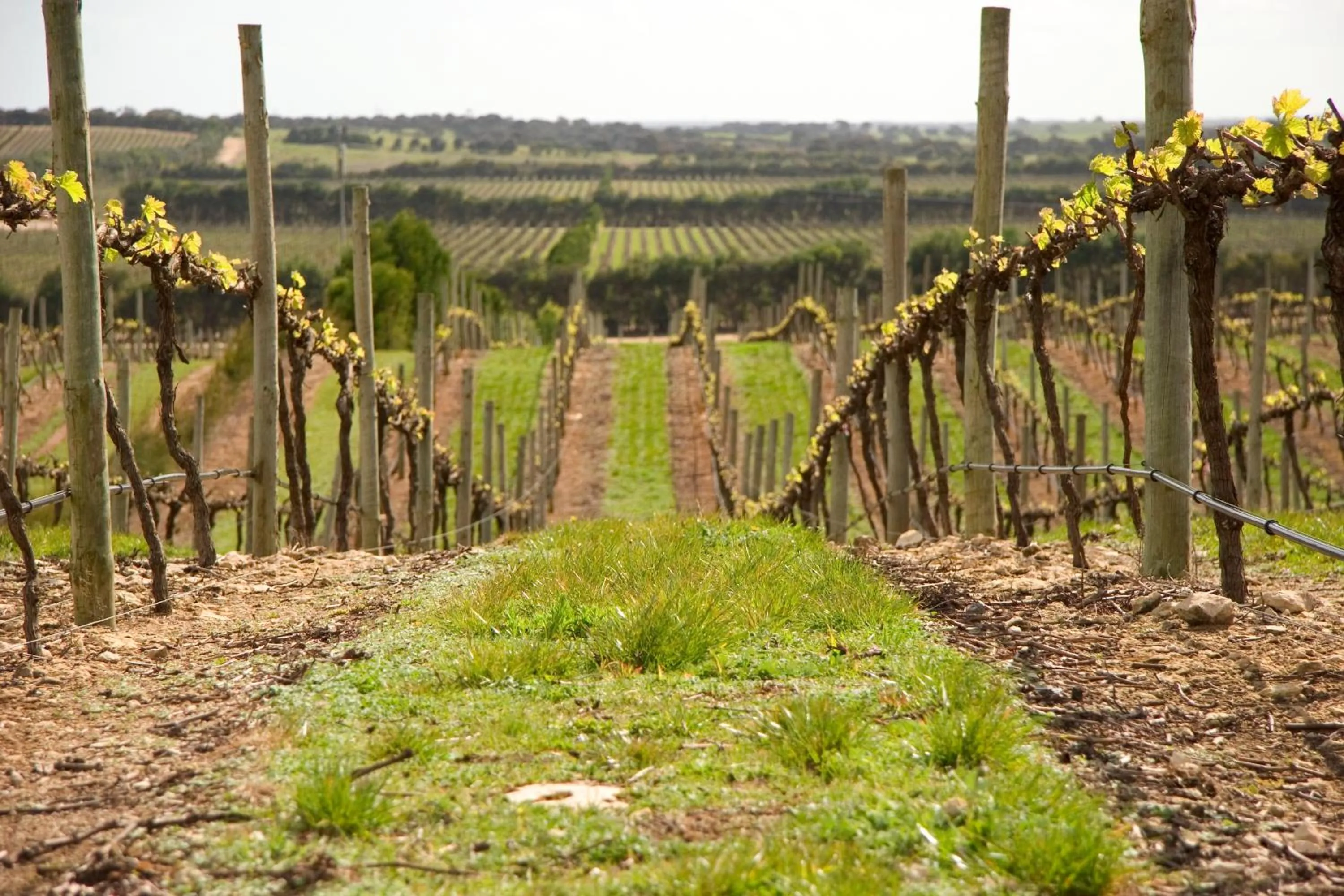 Area and facilities in Lakeview Motel and Apartments
