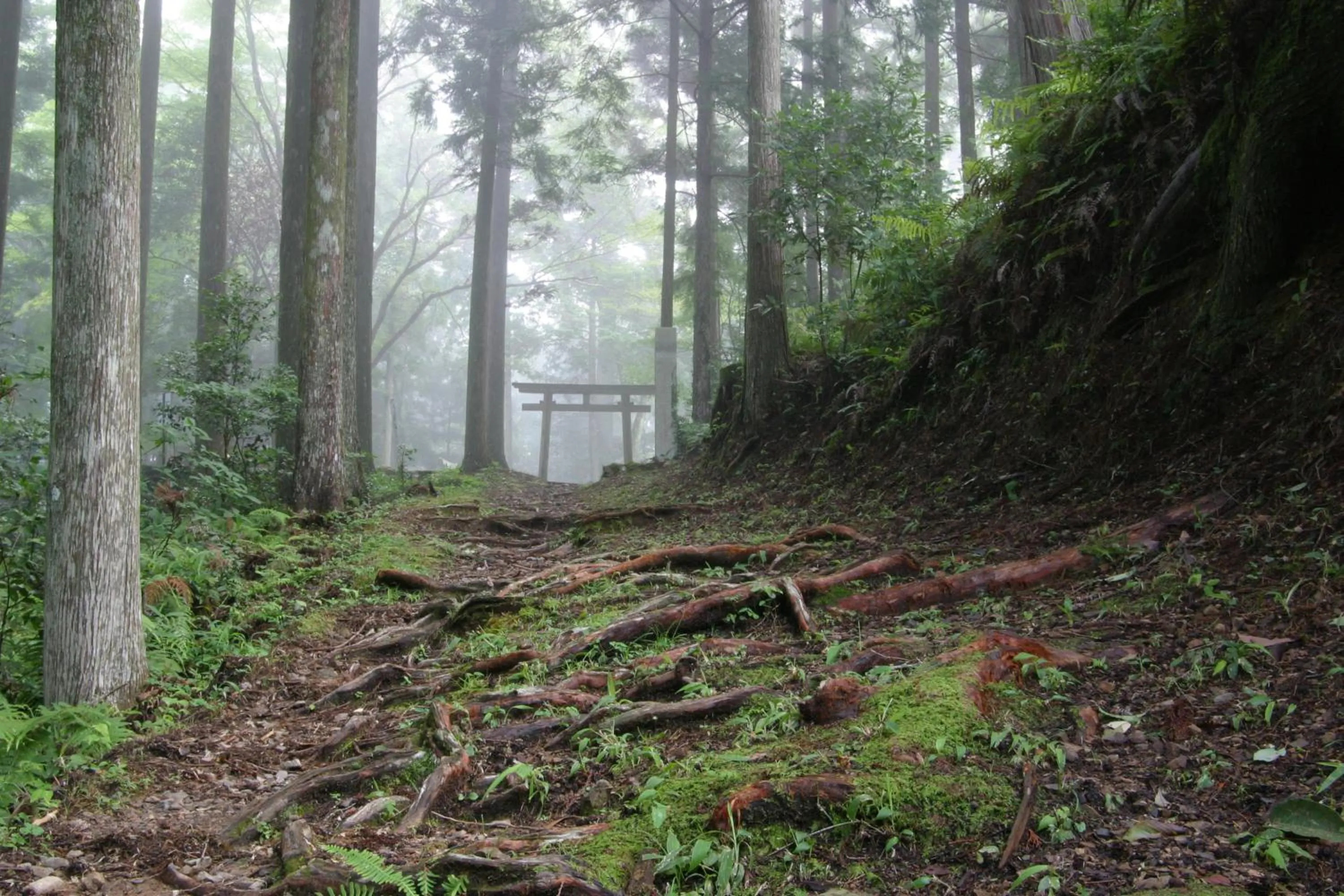 Area and facilities in Ashita no Mori