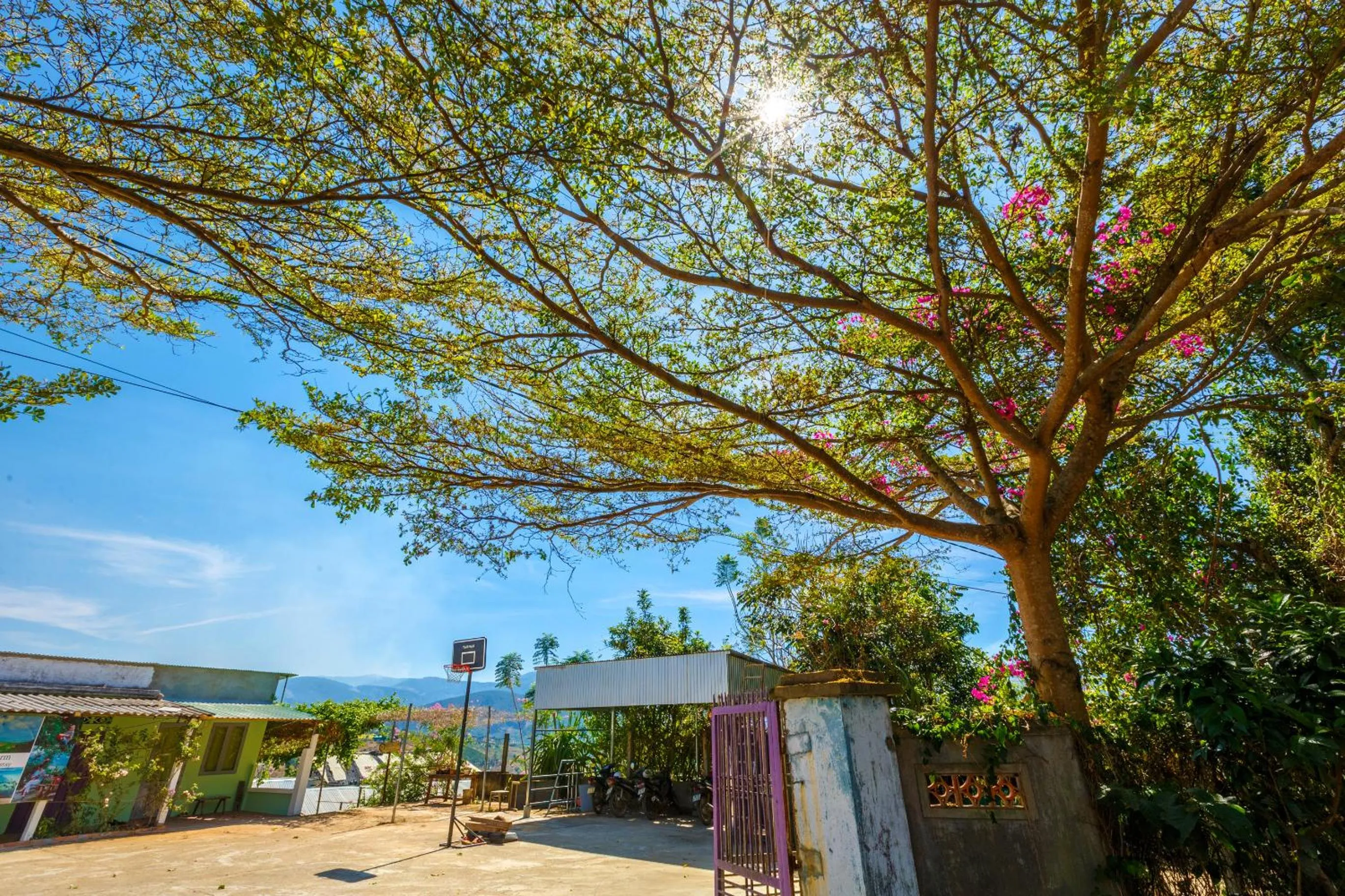 Natural landscape in Midori Heritage Coffee Farm